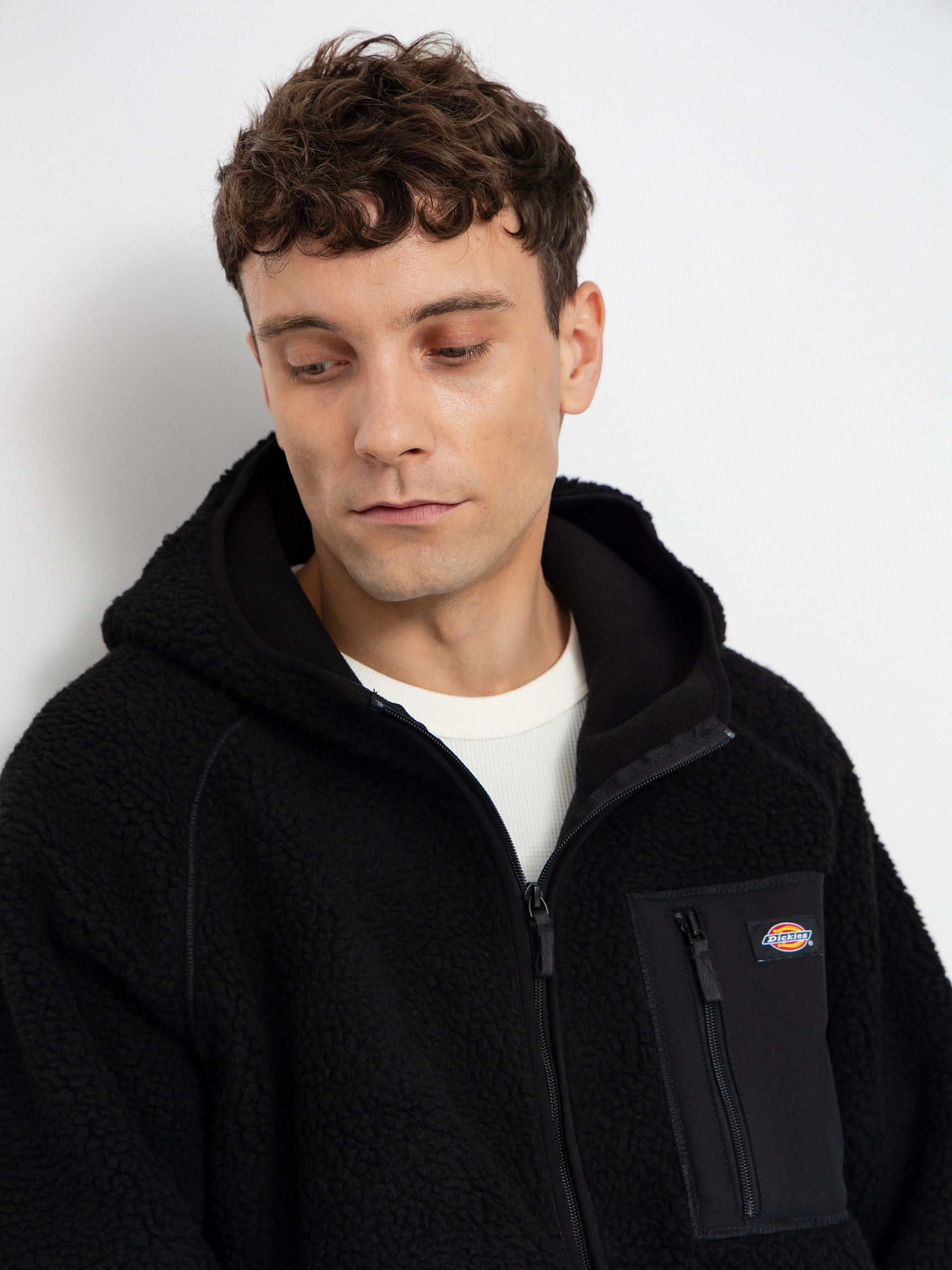 Męski Polar Dickies Central High Pile (black)