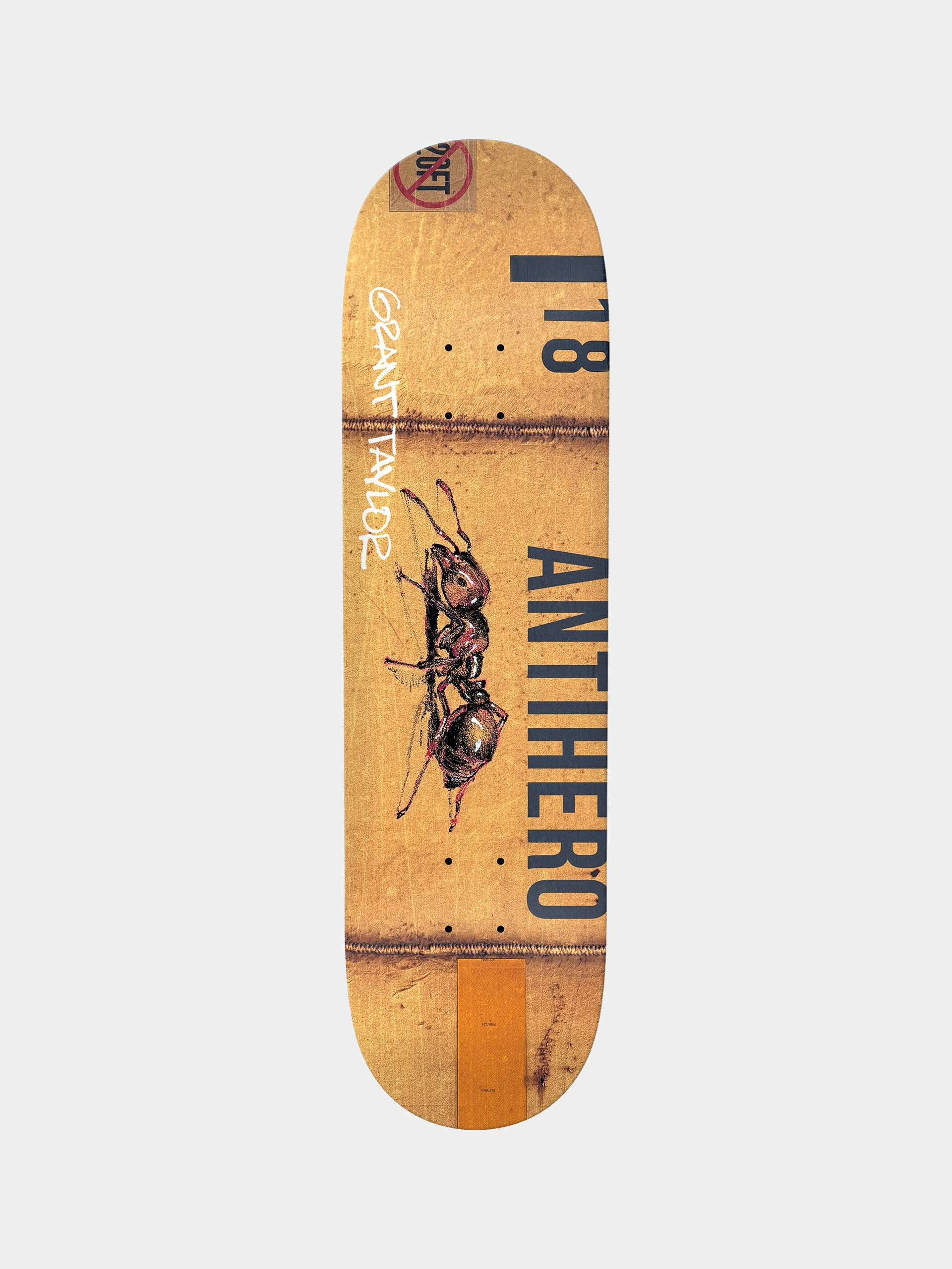 Deck Antihero Taylor Intermodal (assorted)
