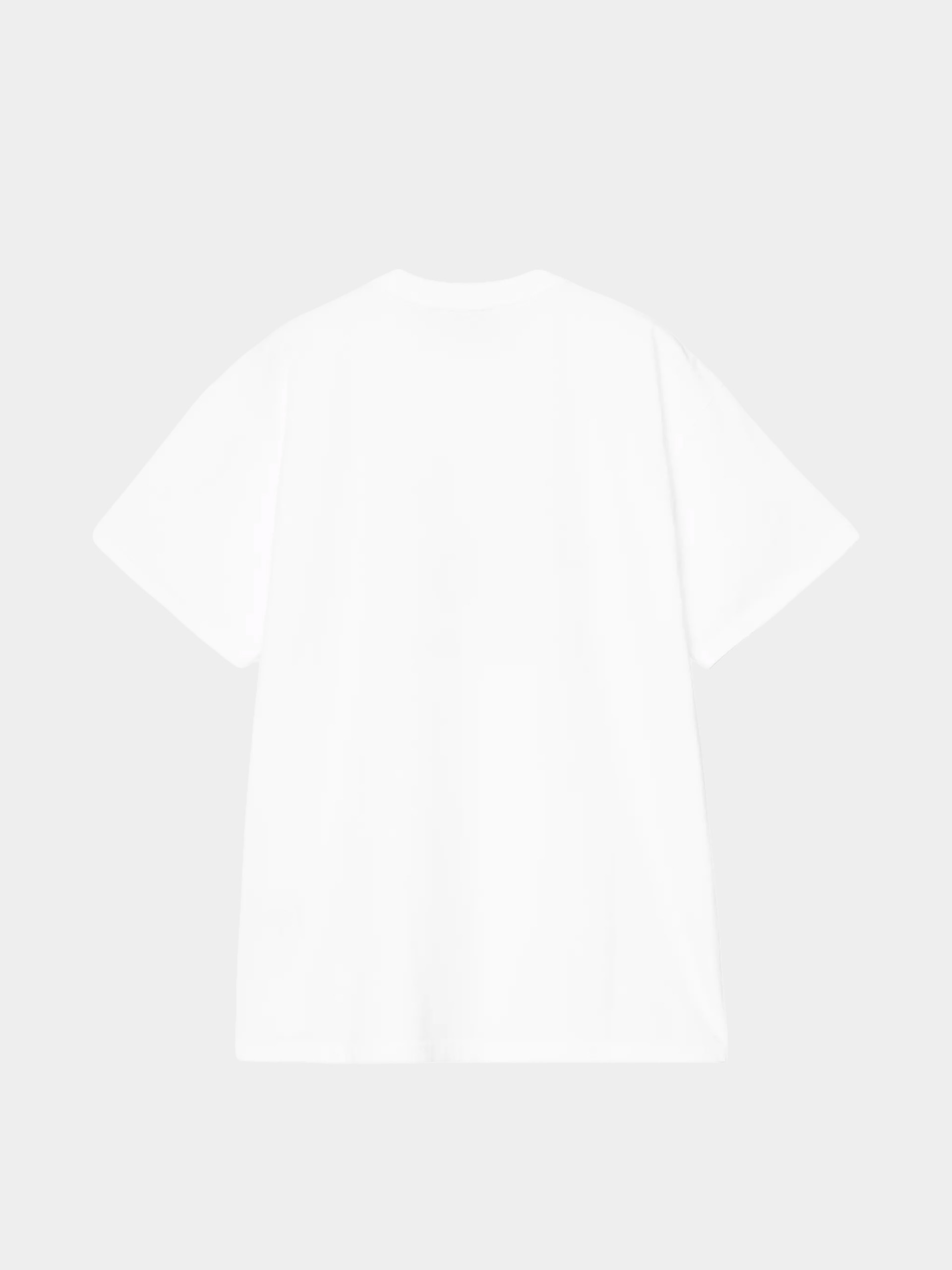 T-shirt Carhartt WIP Coat Of Arms (white)