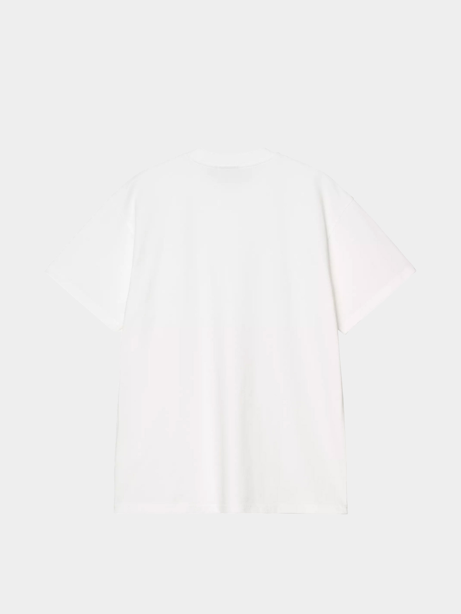 T-shirt Carhartt WIP Pond Corps Pocket (white)