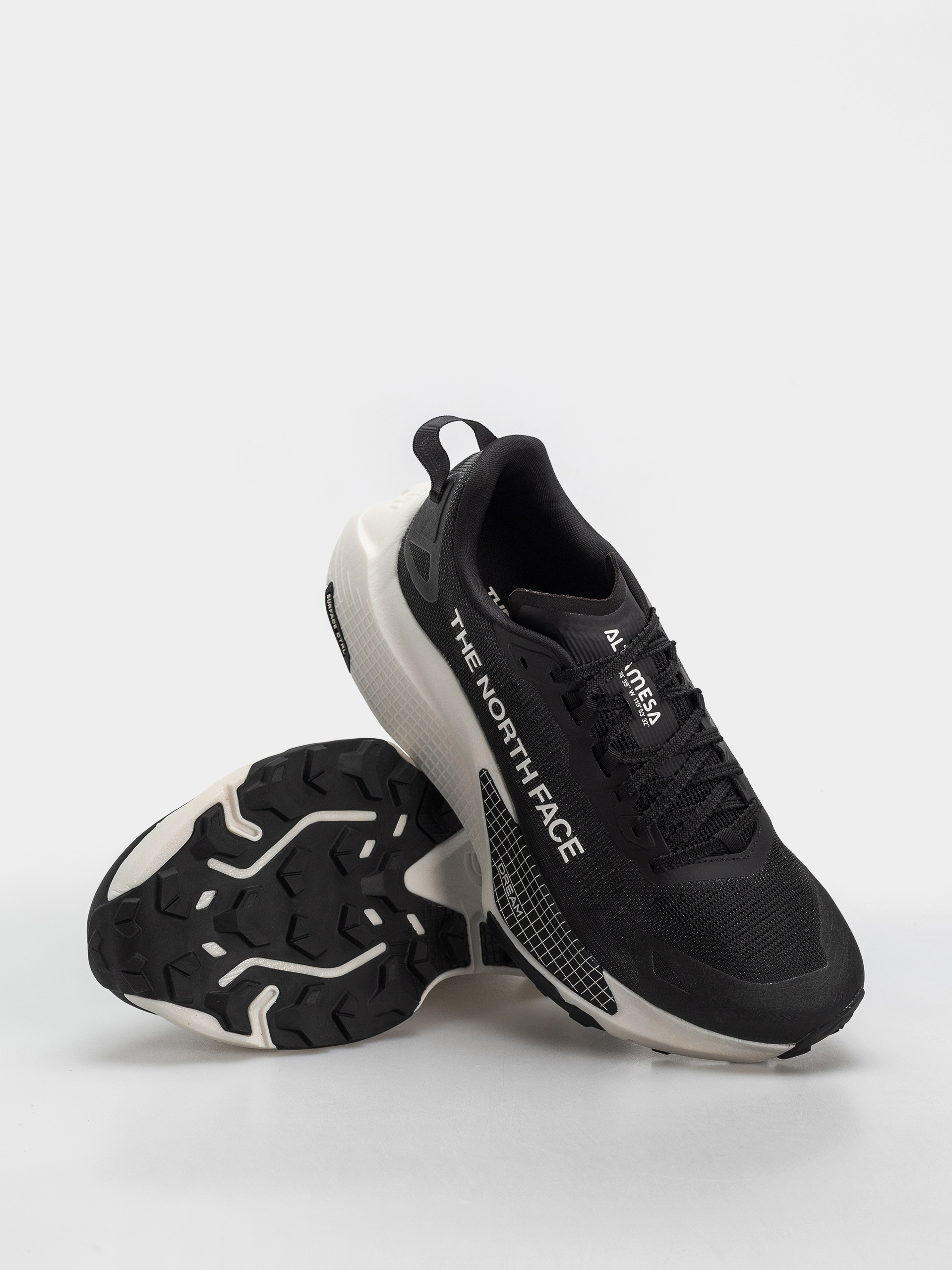 Buty The North Face Altamesa 500 V2 (tnf black/white)