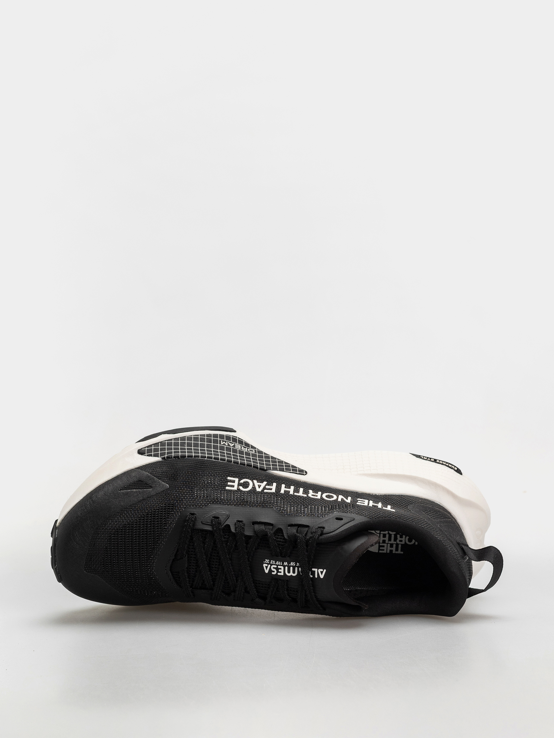 Buty The North Face Altamesa 500 V2 (tnf black/white)