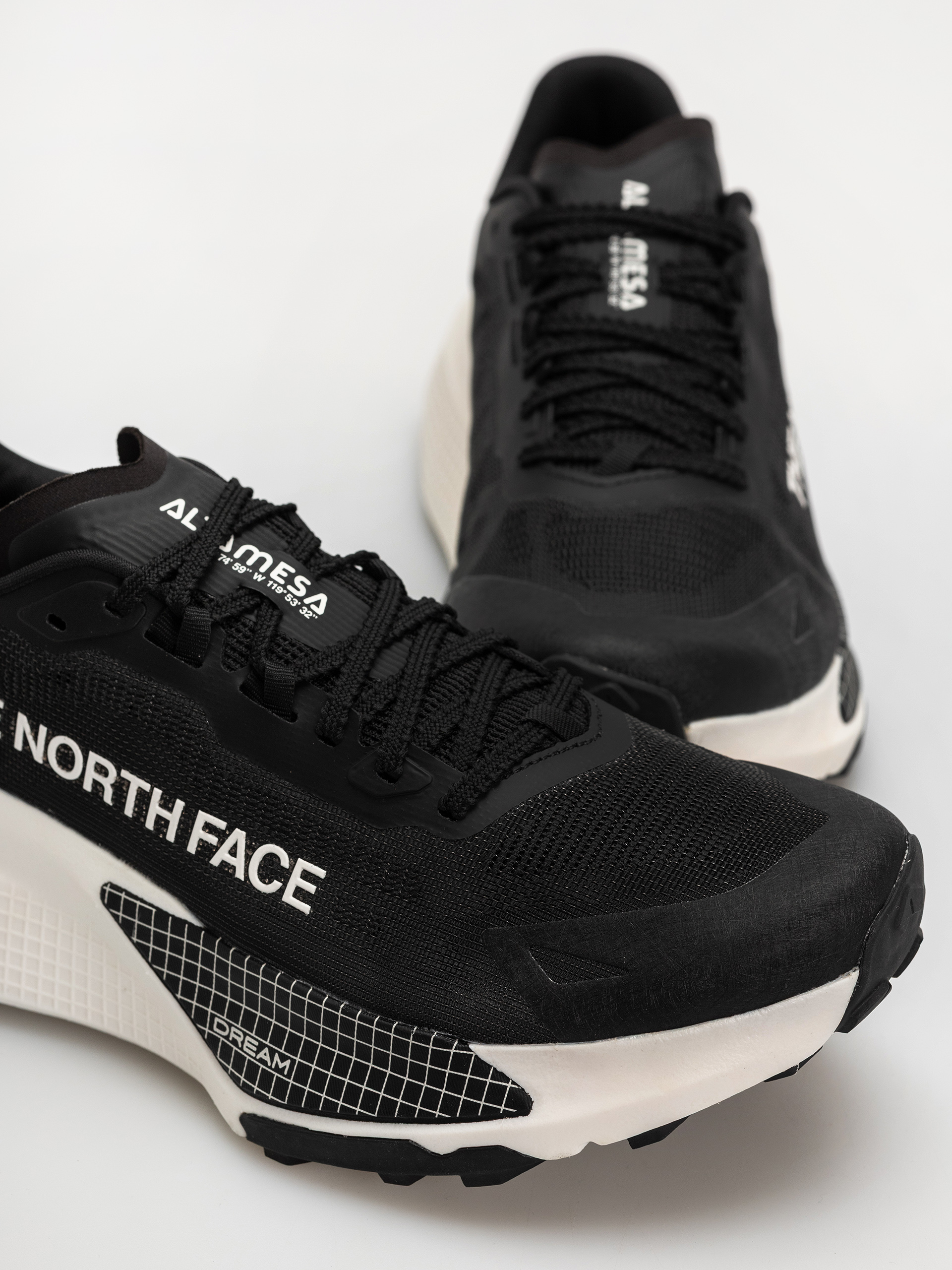 Buty The North Face Altamesa 500 V2 (tnf black/white)