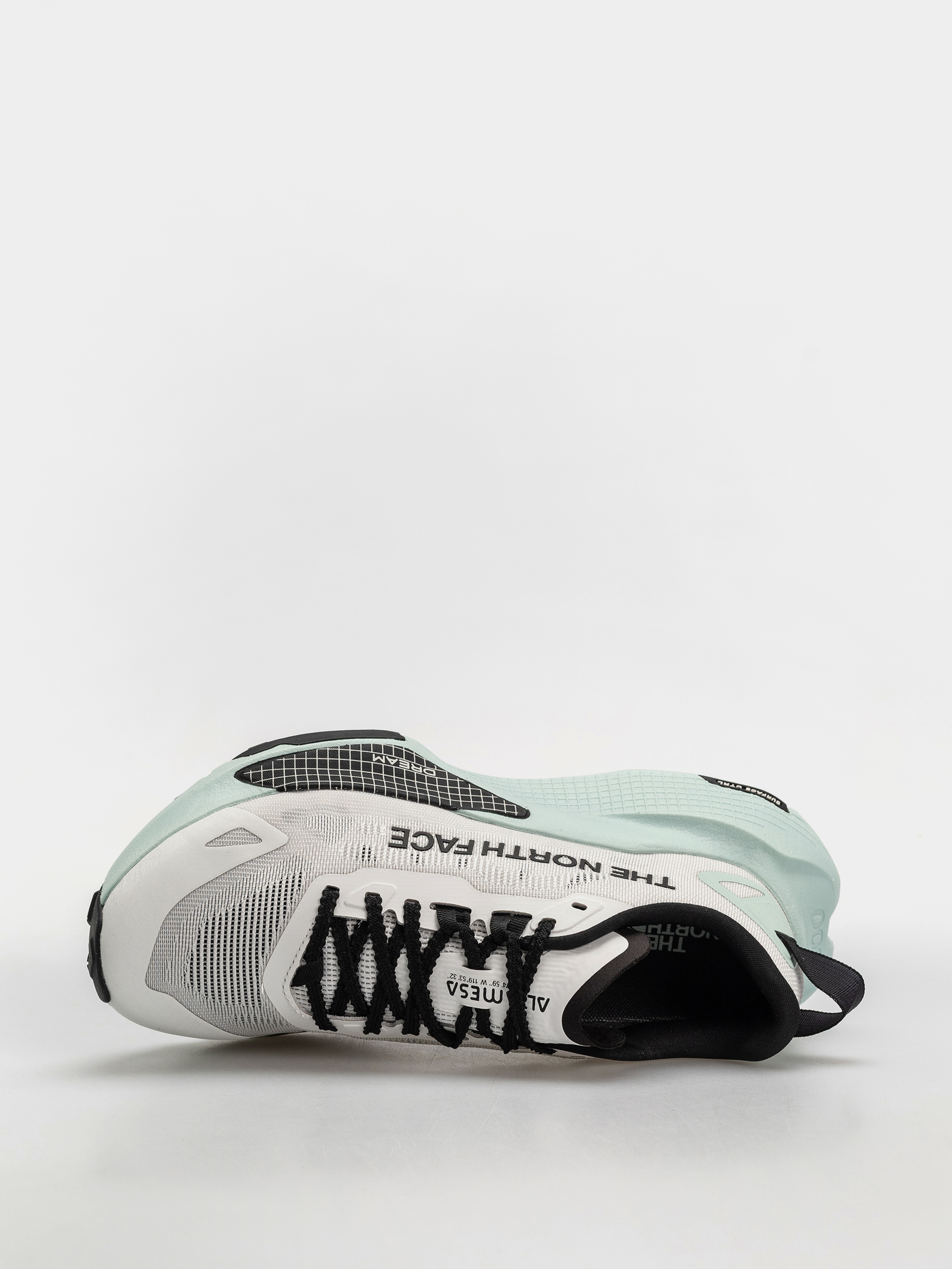 Buty The North Face Altamesa 500 V2 Wmn (white ash/opal)