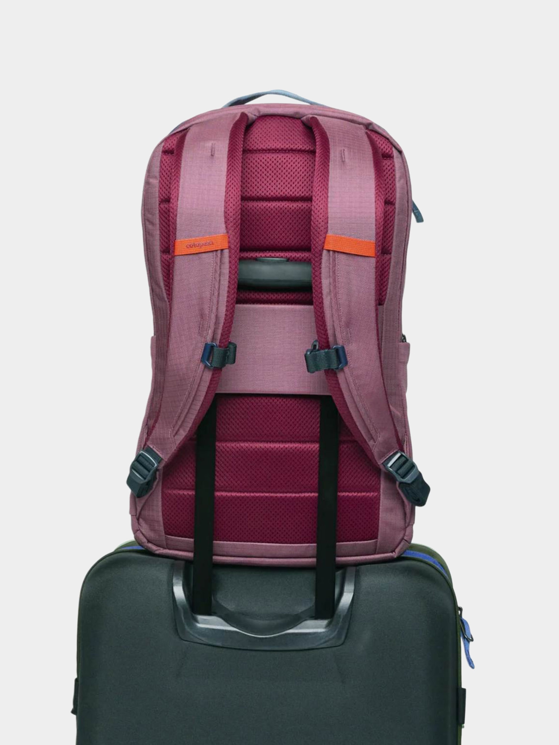 Plecak Cotopaxi Allpa 26L (fig)