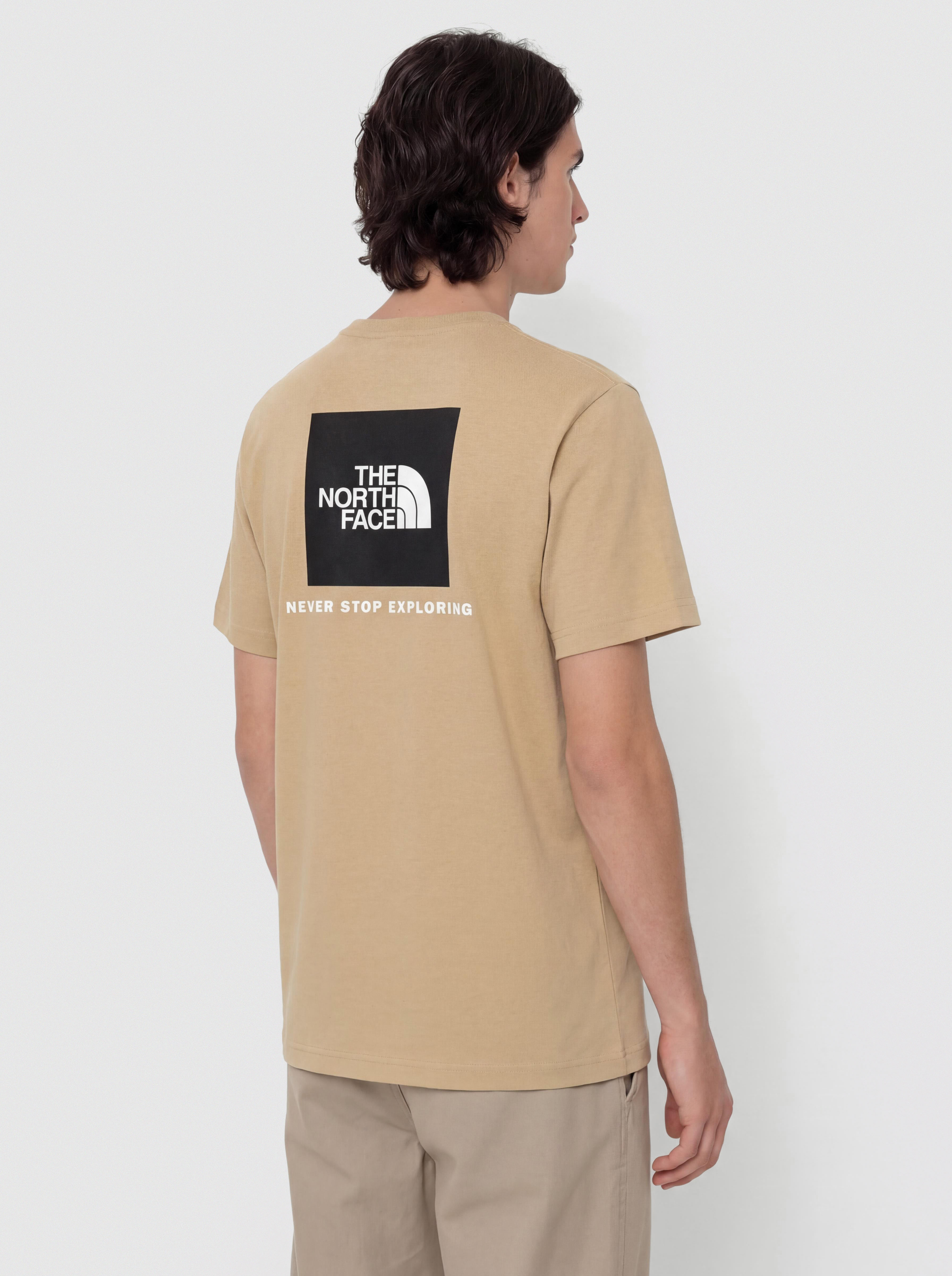 T-shirt The North Face Evolution Box Nse (khaki stone)