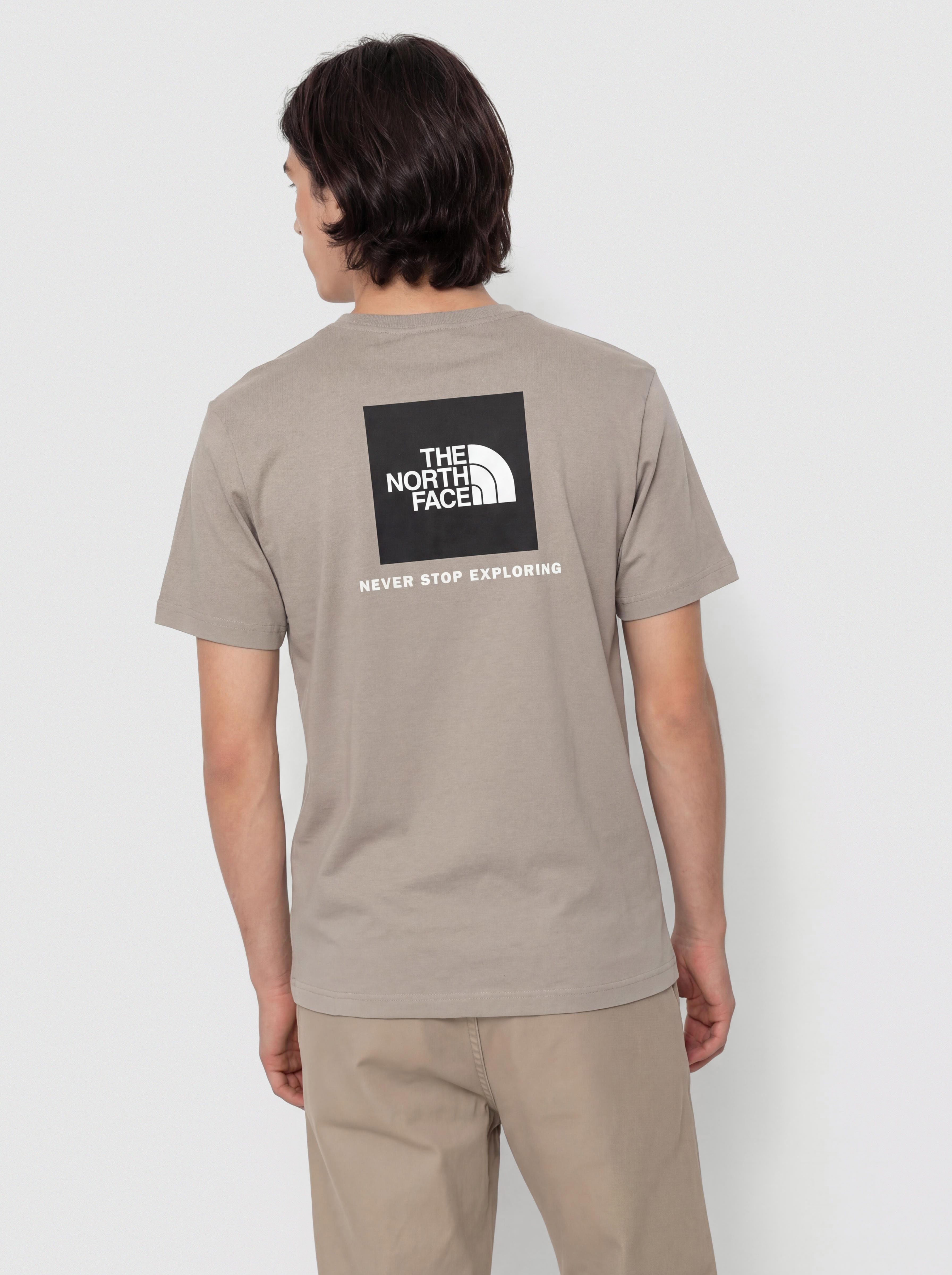 T-shirt The North Face Evolution Box Nse (stone slab)