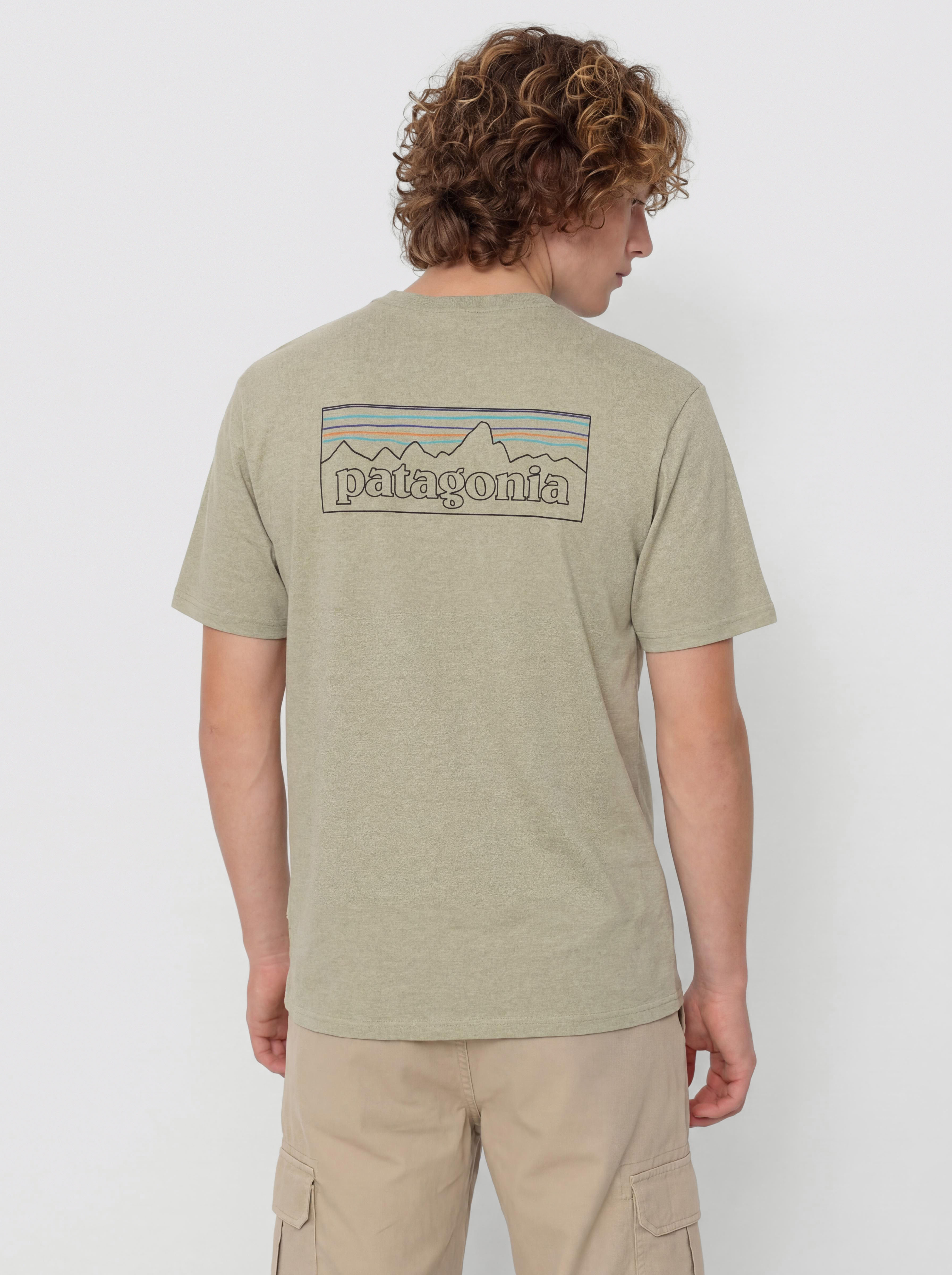 T-shirt Patagonia P 6 Logo Responsibili (p 6 outline/gumtree green)