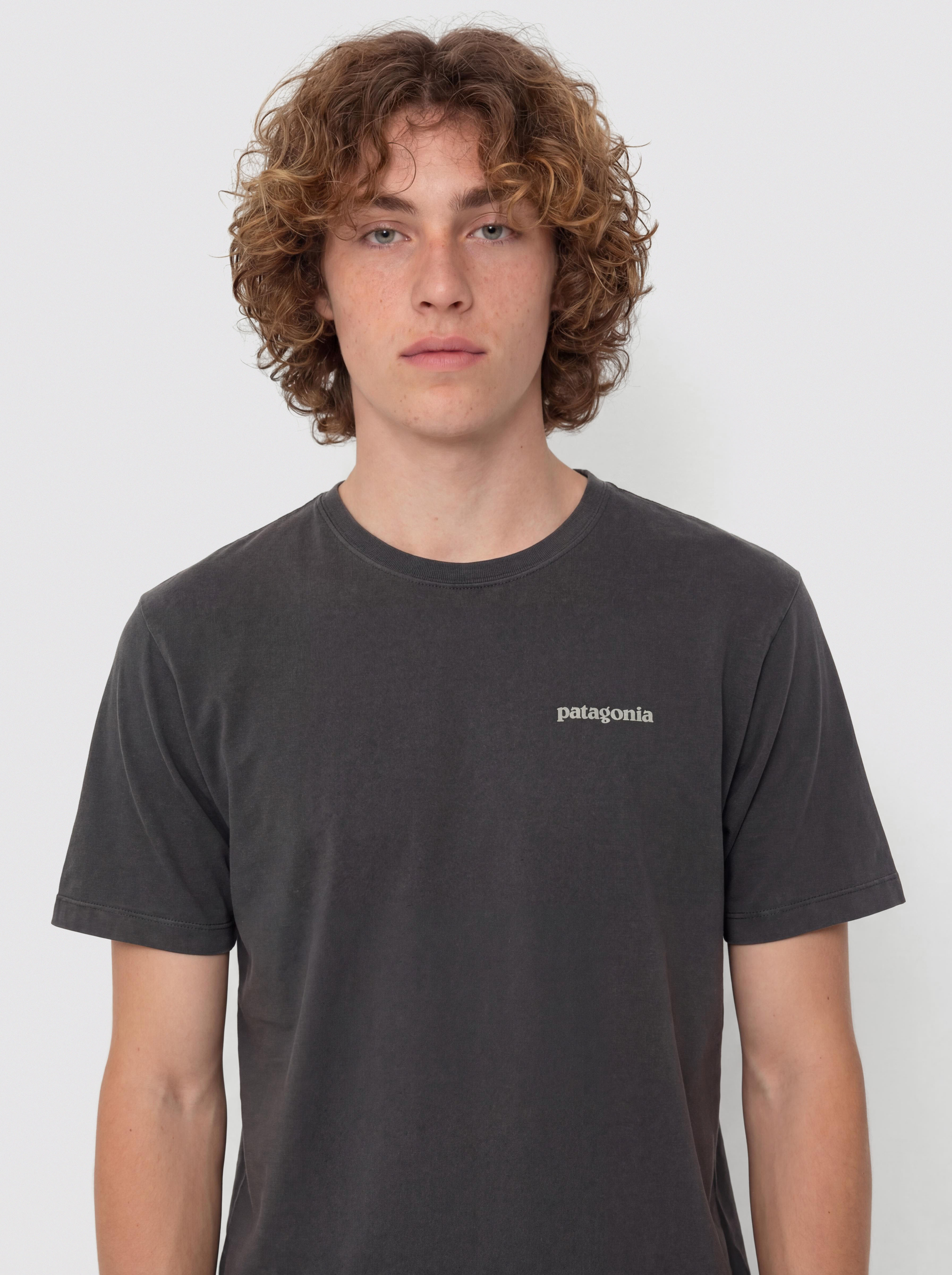 T-shirt Patagonia P 6 Logo (ink black)