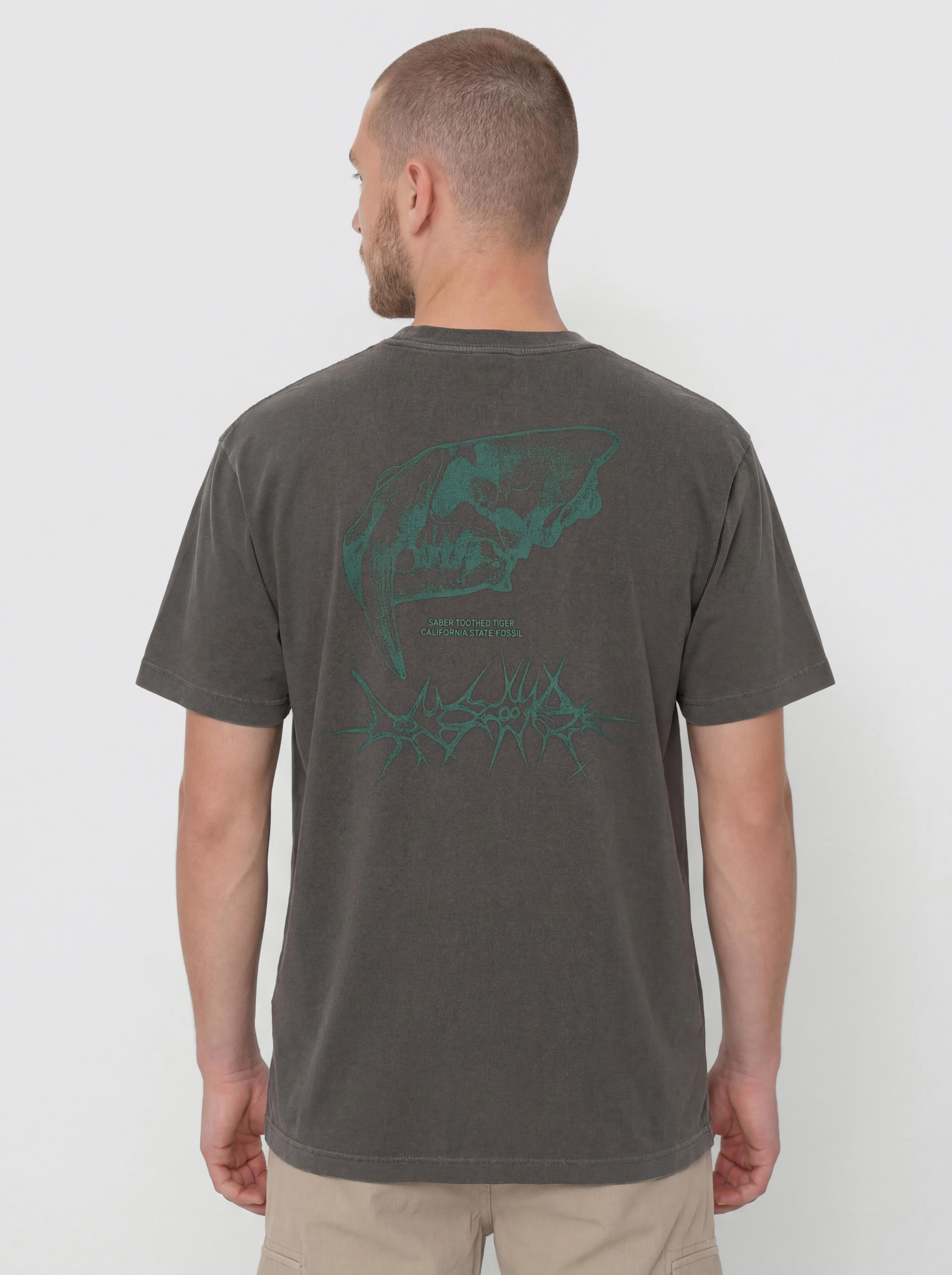 T-shirt Vans Mte Sabertooth (black)