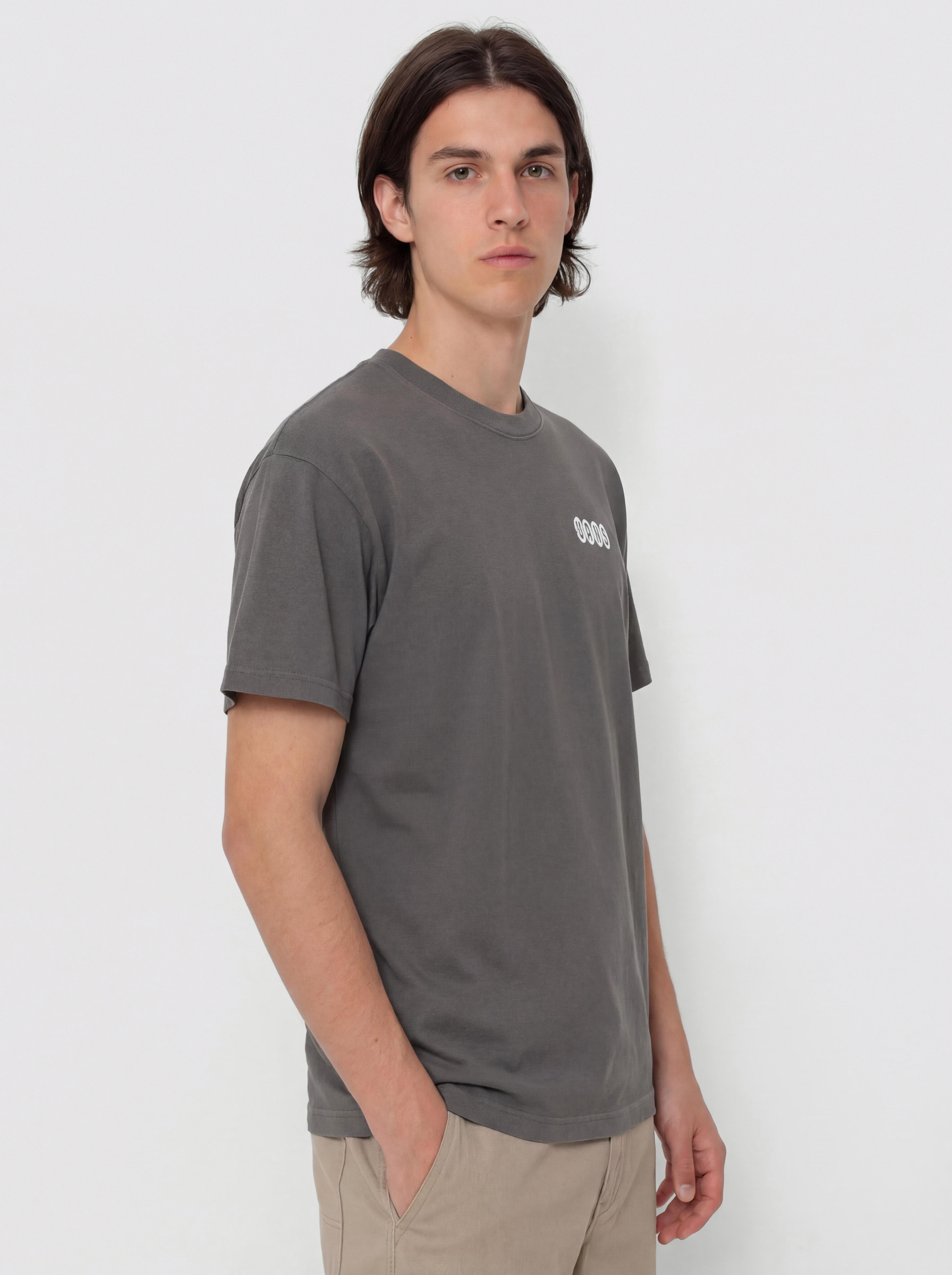 T-shirt Vans Earthbound Loose Fit (mountain essentials asphalt)