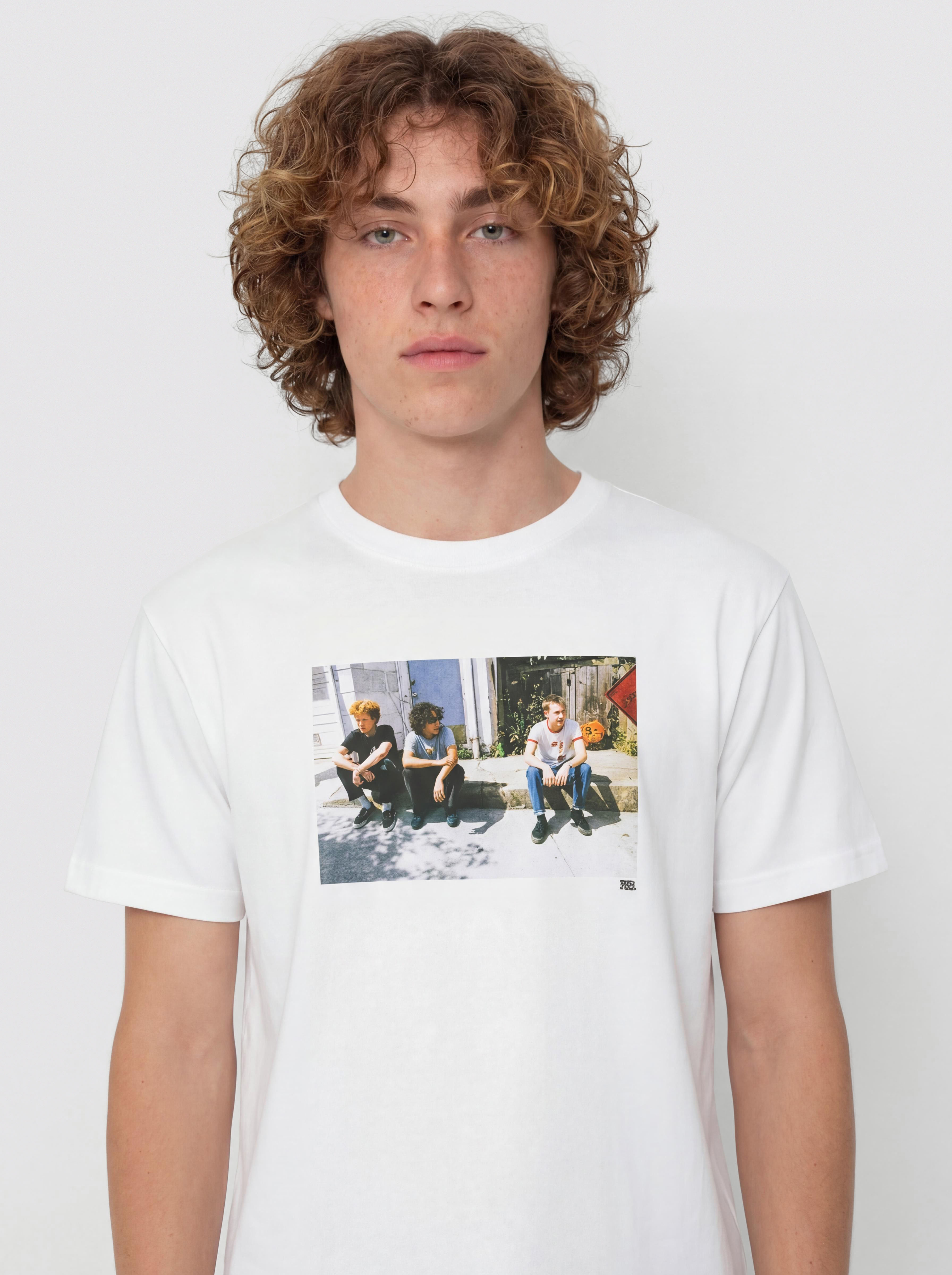 T-shirt Vans Skate Atiba Haze Curb Crew (white)