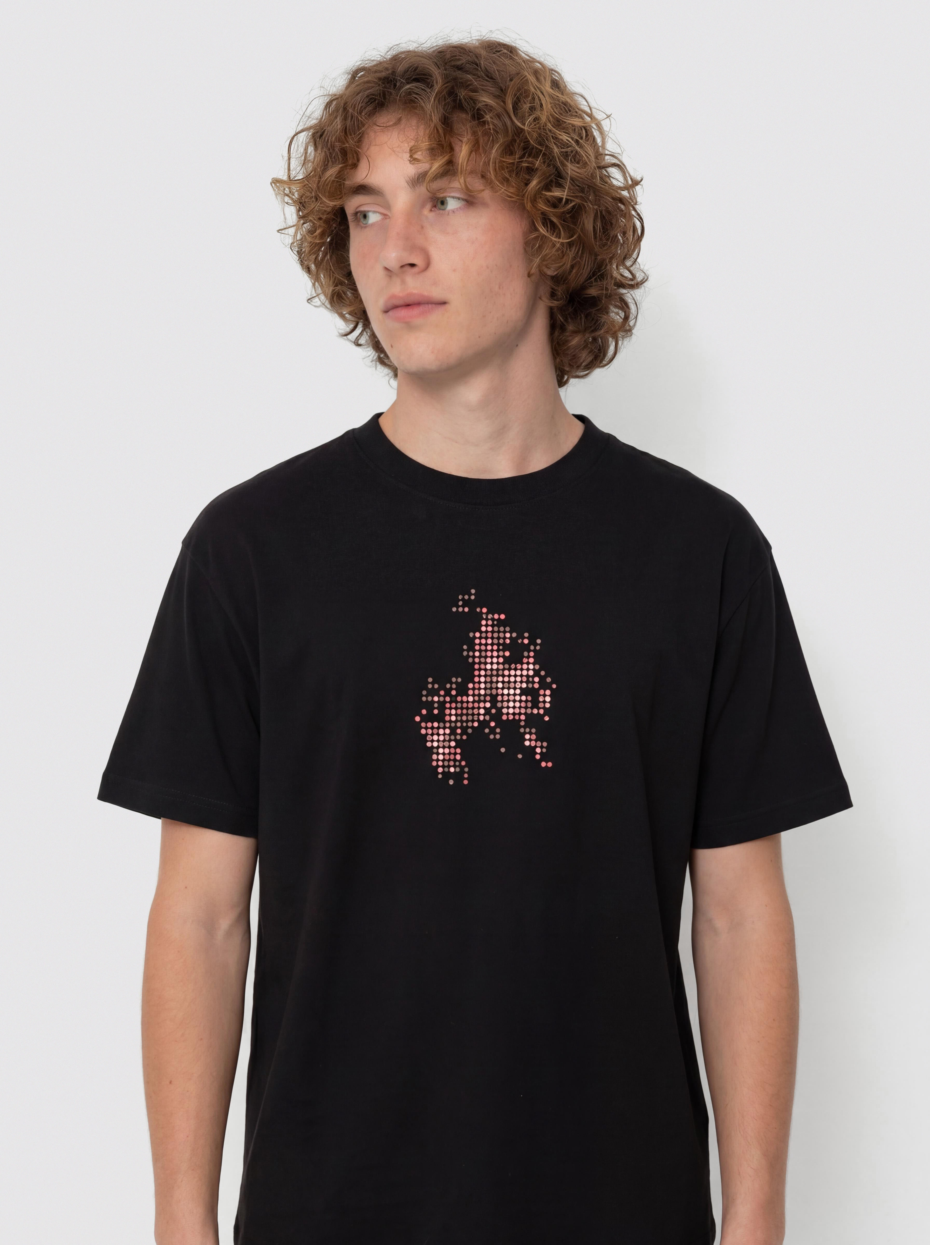 T-shirt Vans Skate Flame (black)