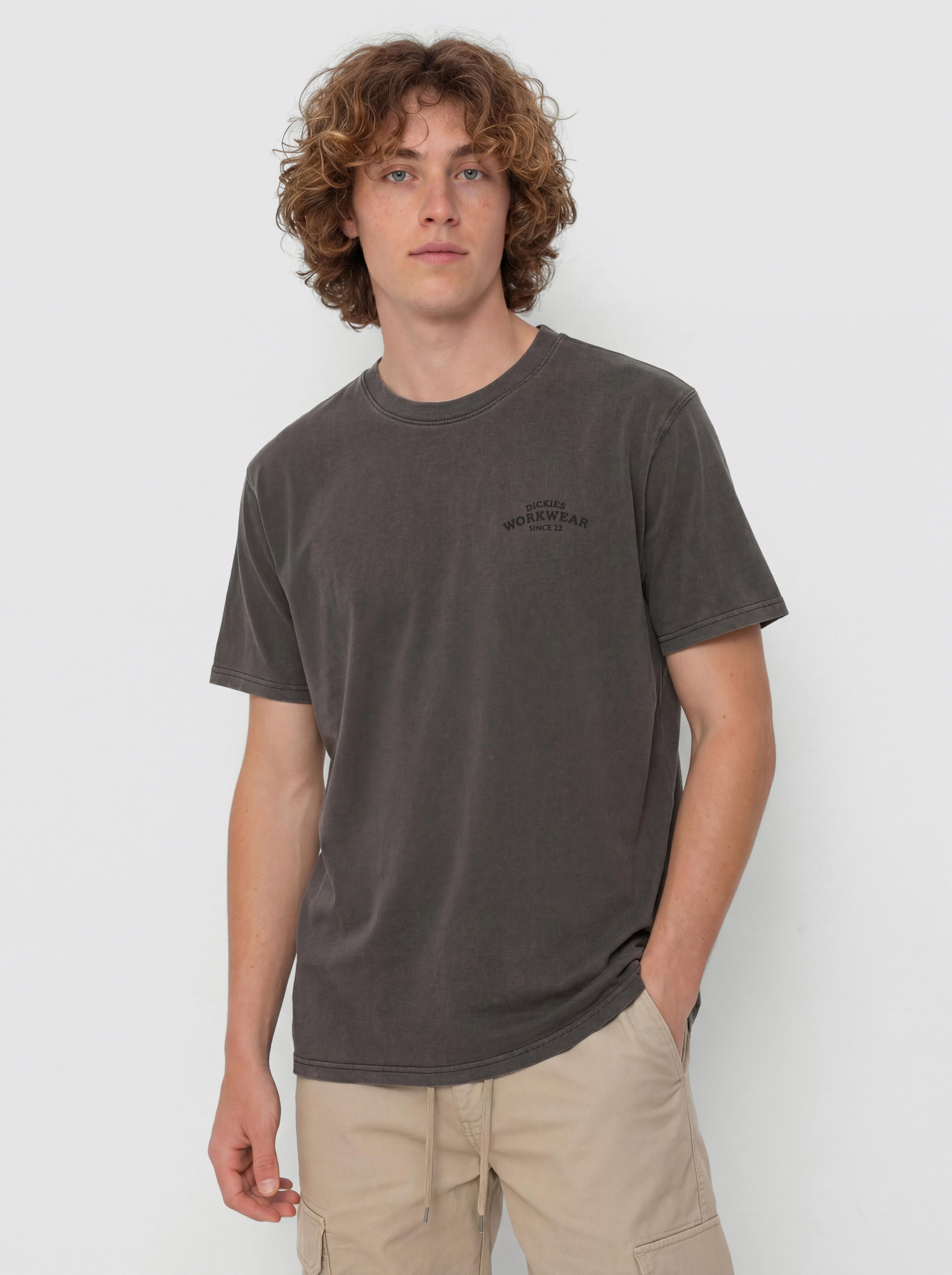 T-shirt Dickies Christiana (black)