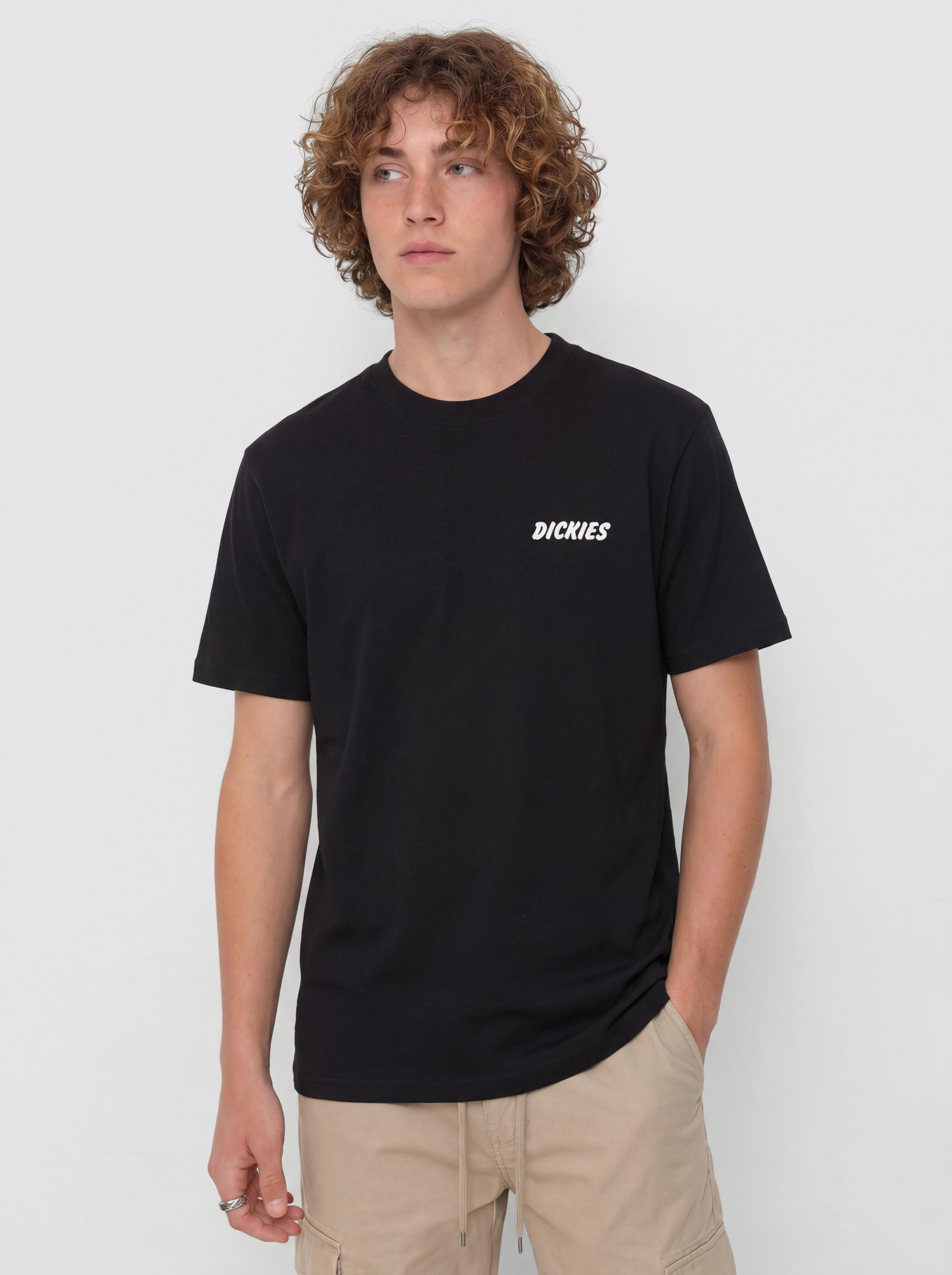 T-shirt Dickies Dry Ridge