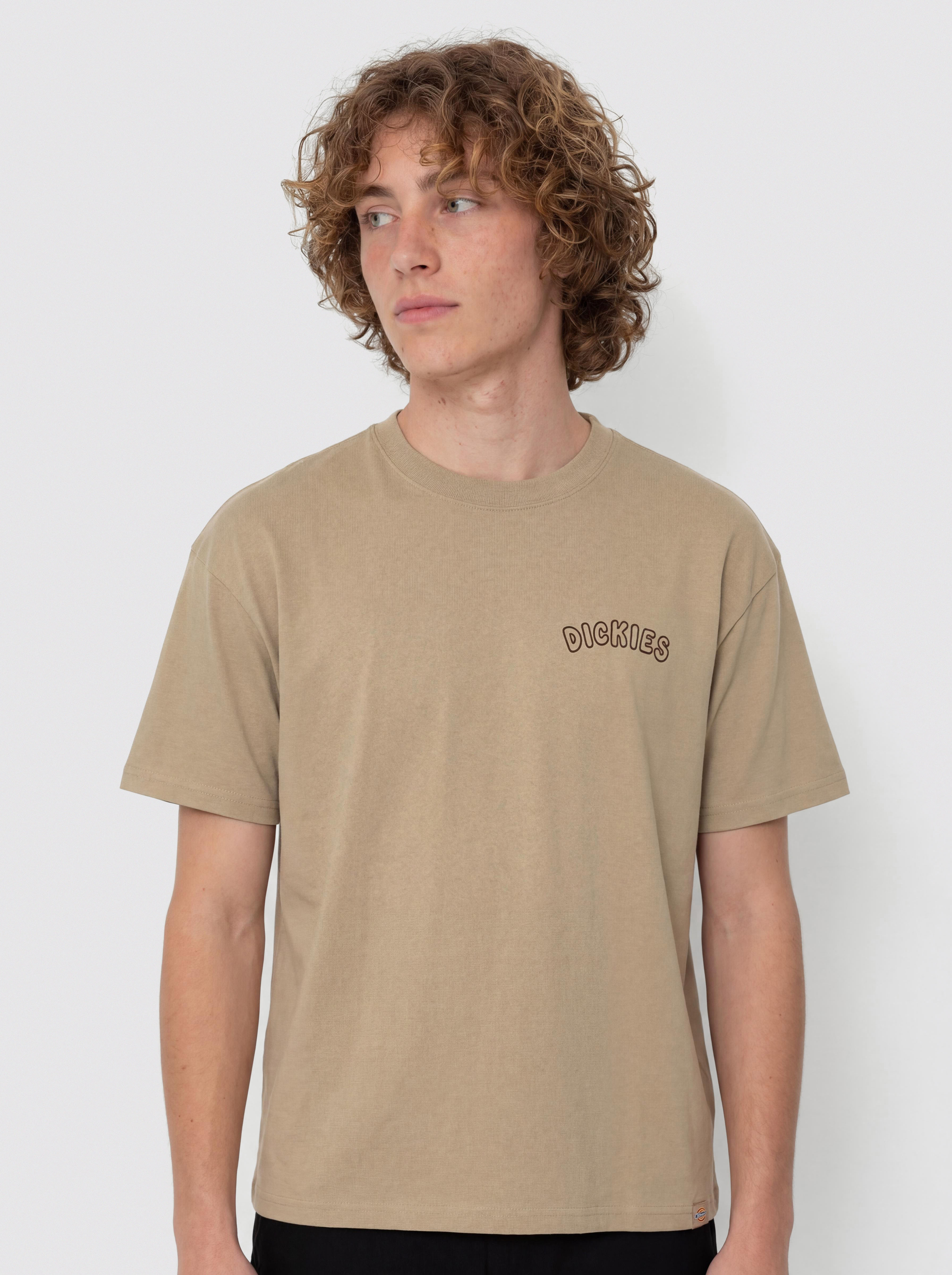 T-shirt Dickies Decartuville