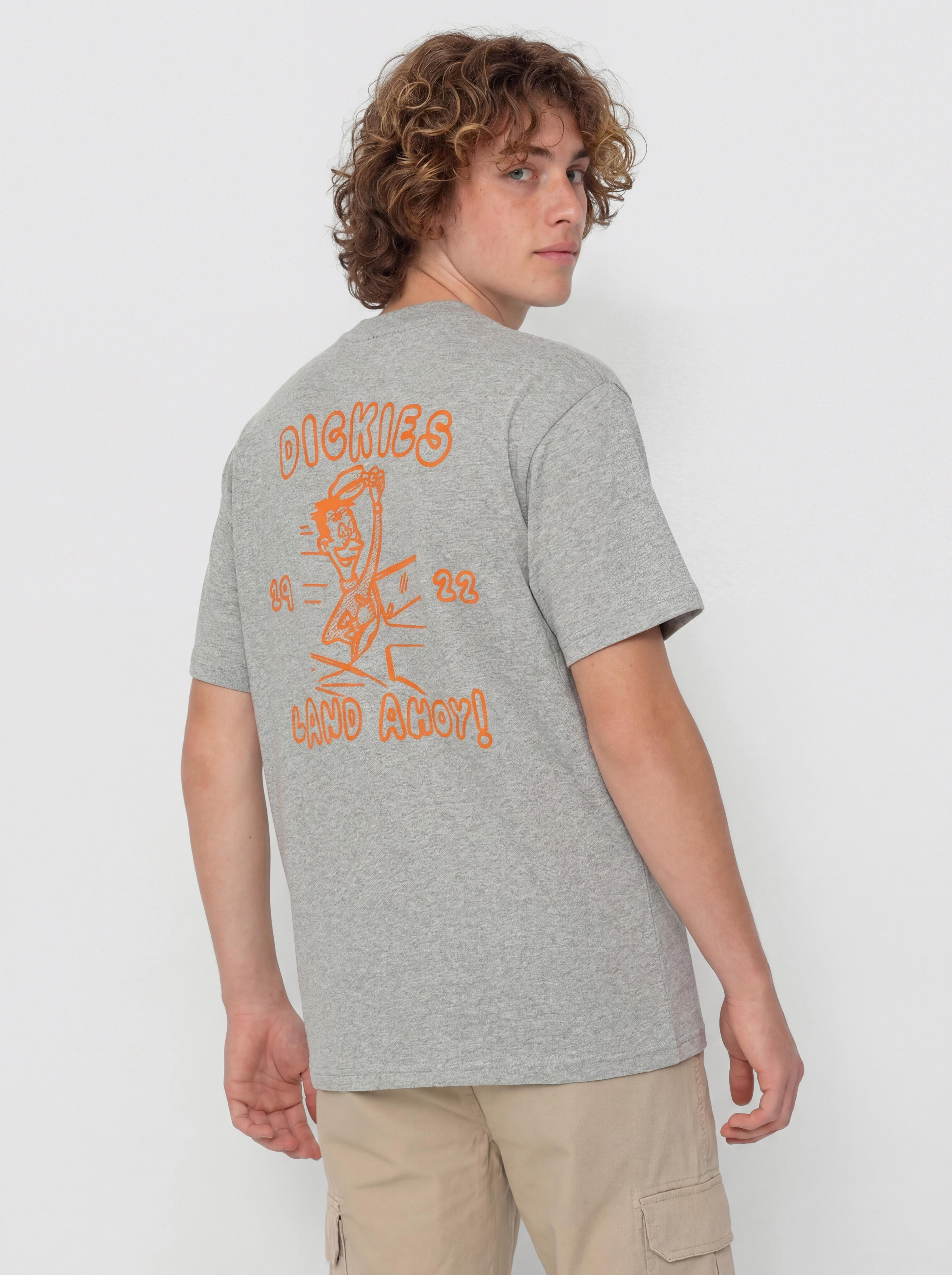 T-shirt Dickies Decartuville (grey melange)