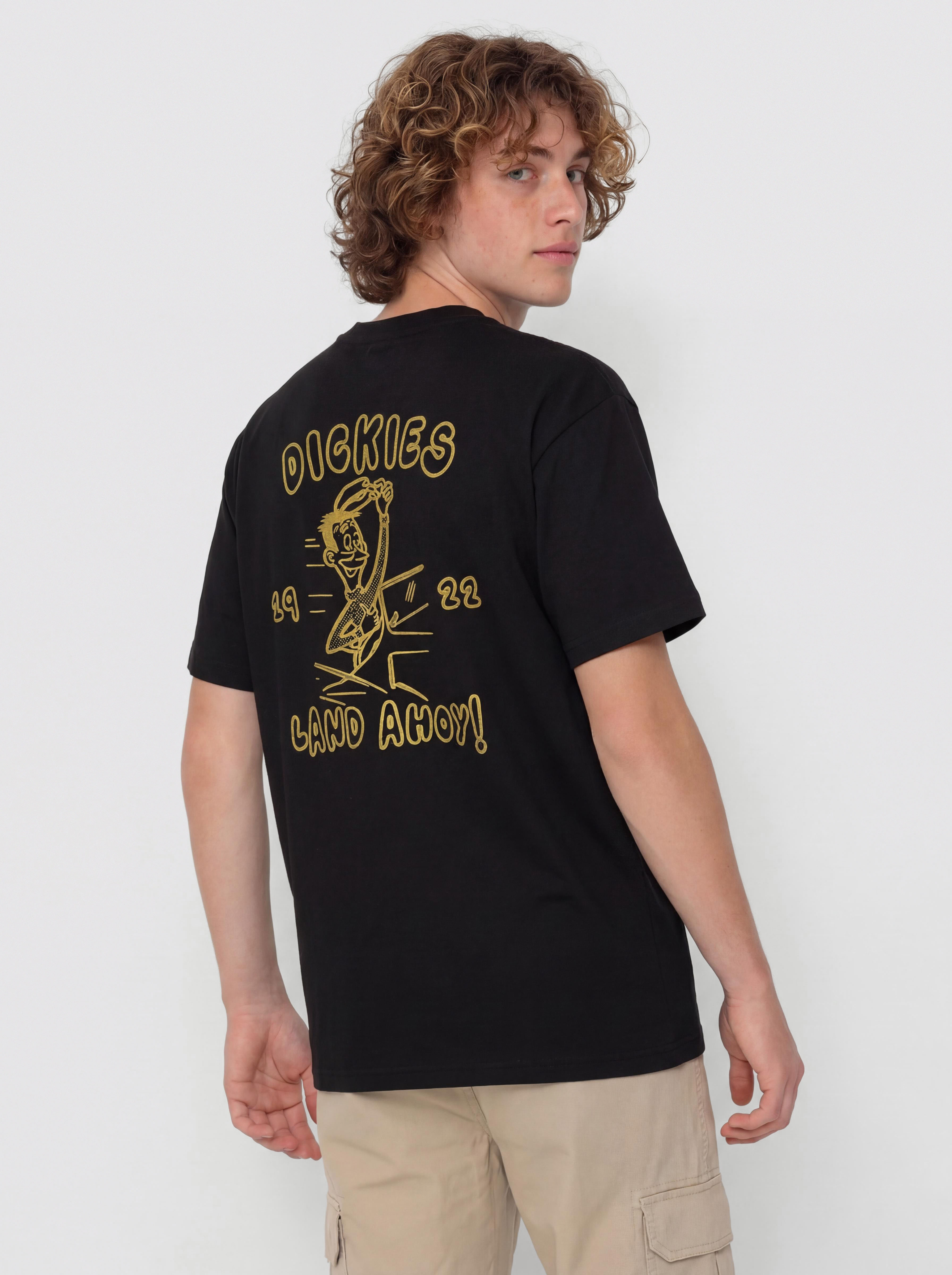 T-shirt Dickies Decartuville (black)