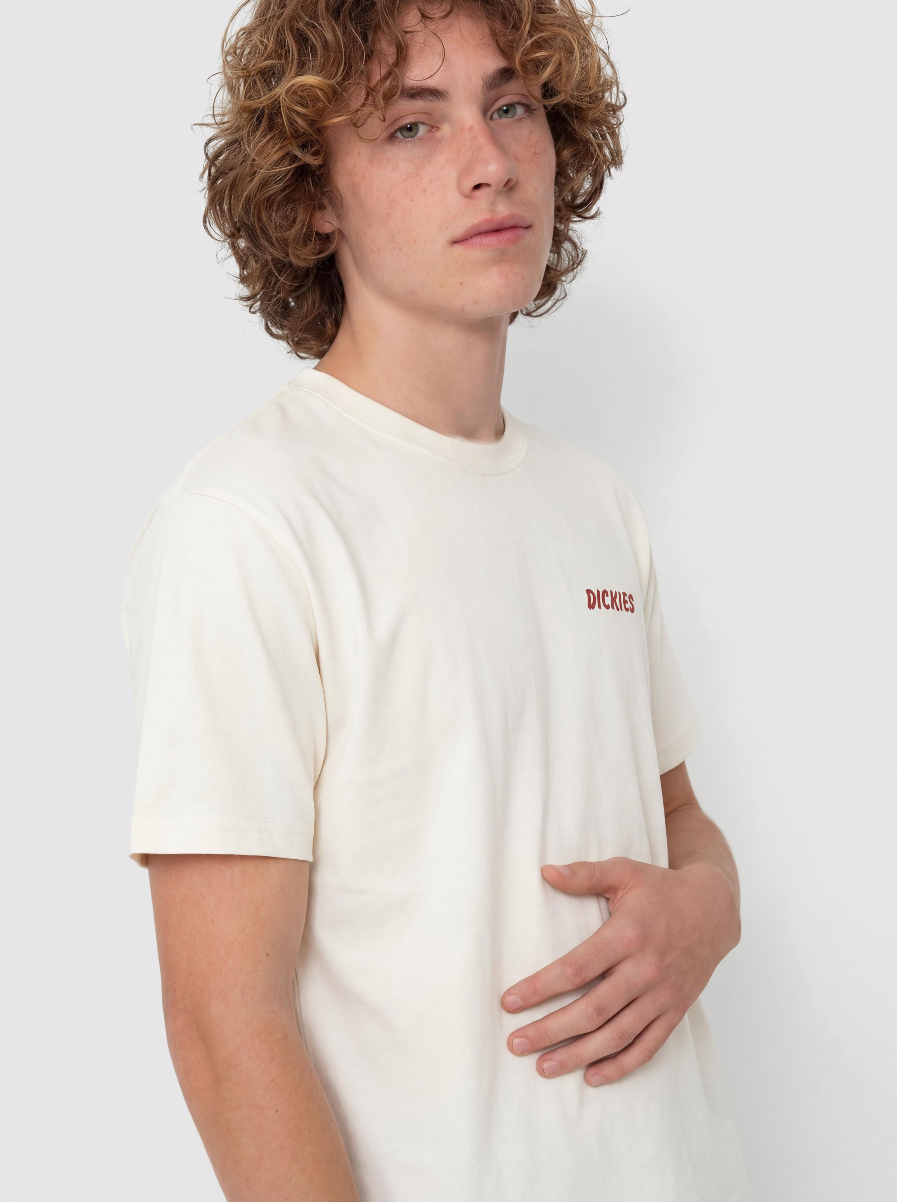 T-shirt Dickies Dry Ridge (egret)