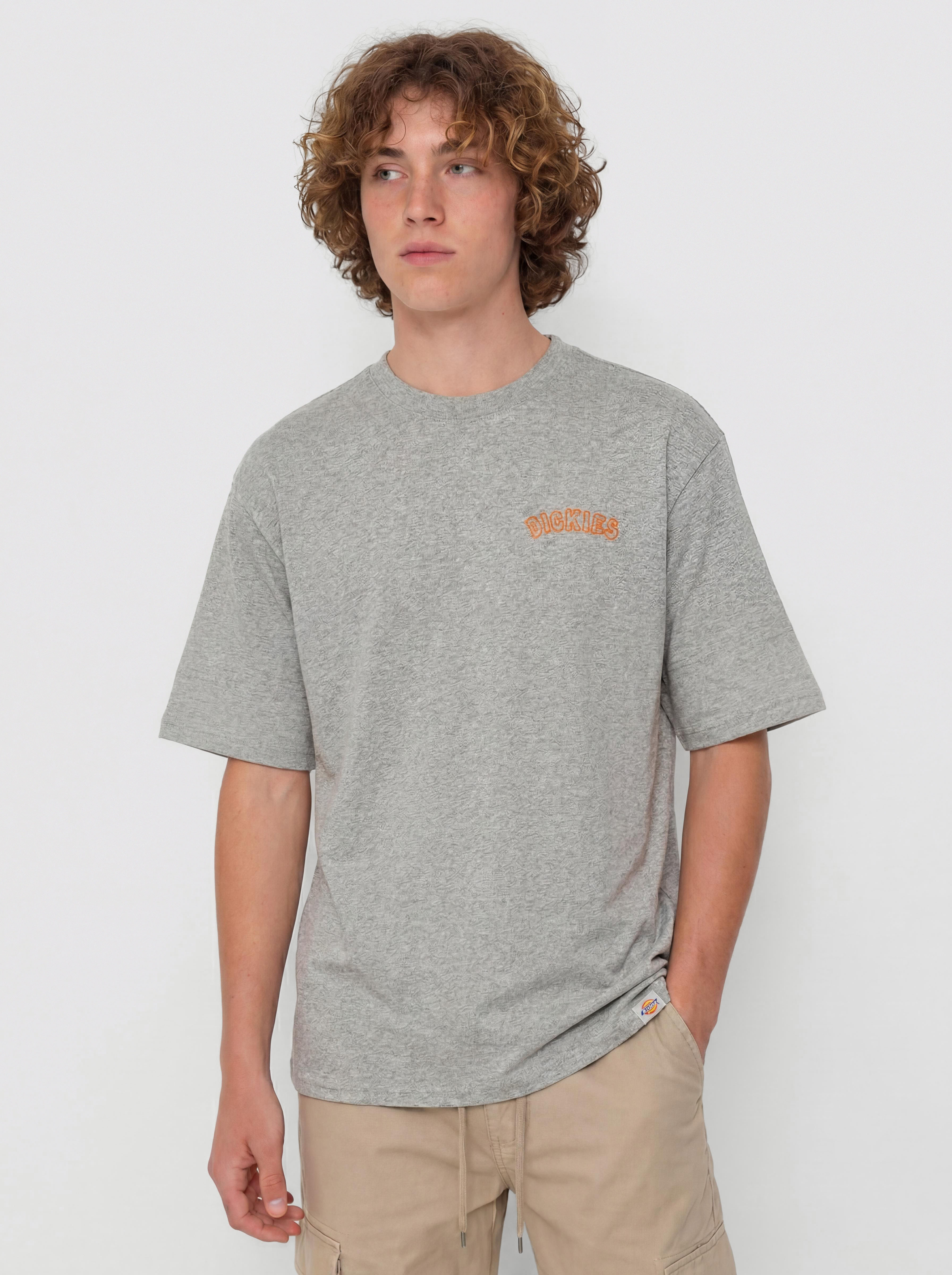 T-shirt Dickies Decartuville (grey melange)
