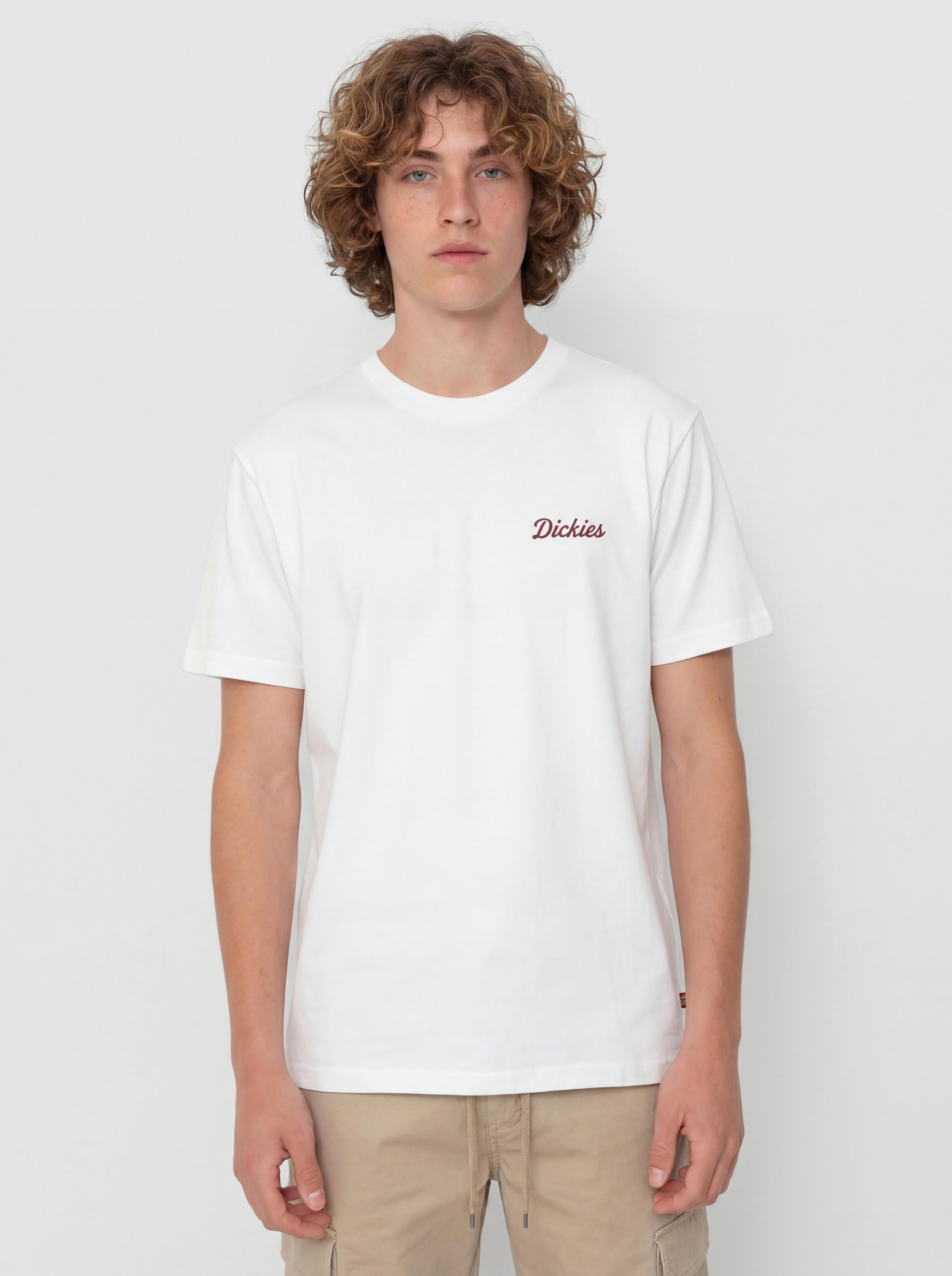 T-shirt Dickies Wellsville (white)