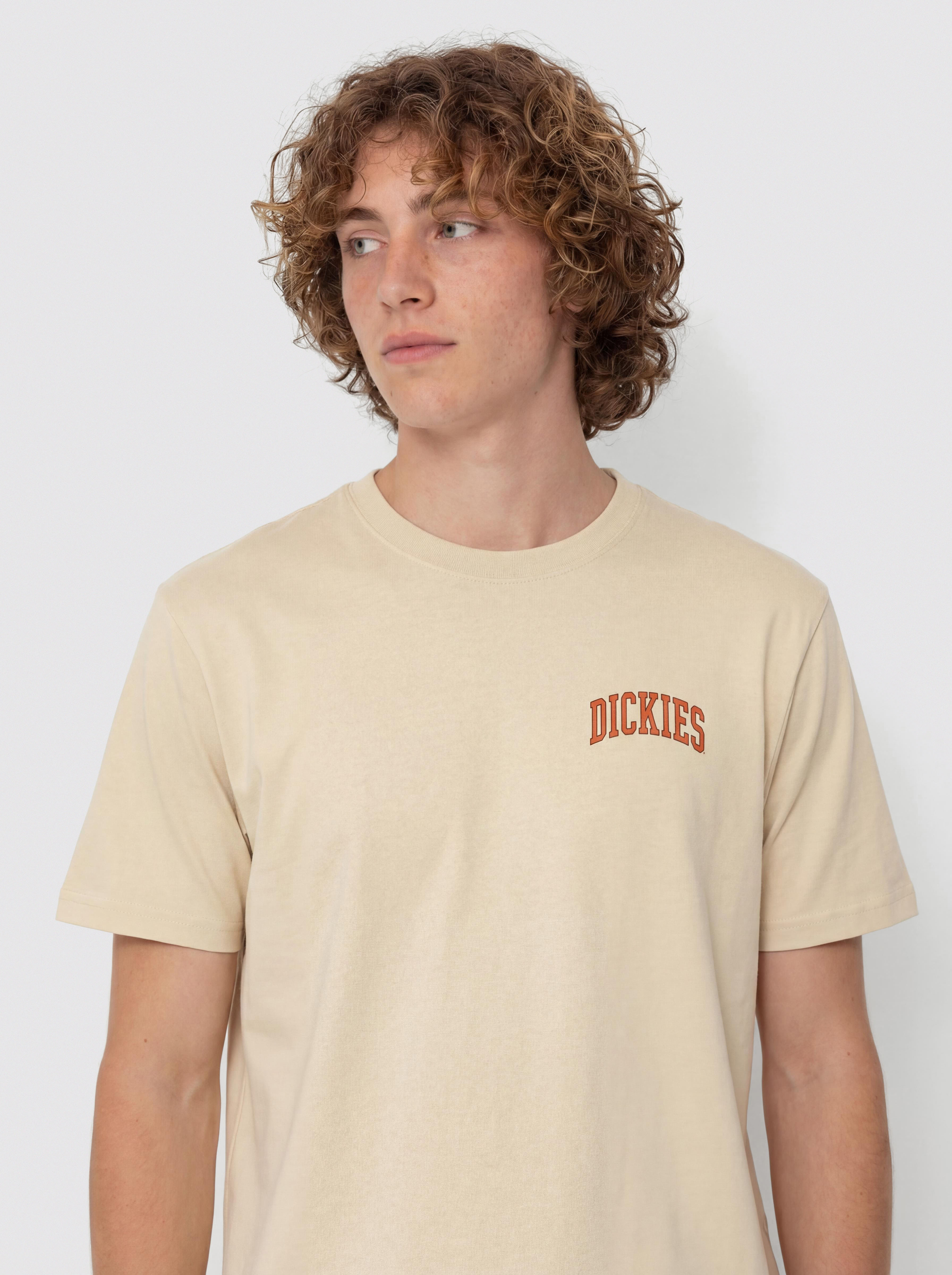 T-shirt Dickies Aitkin Chest (wood ash)
