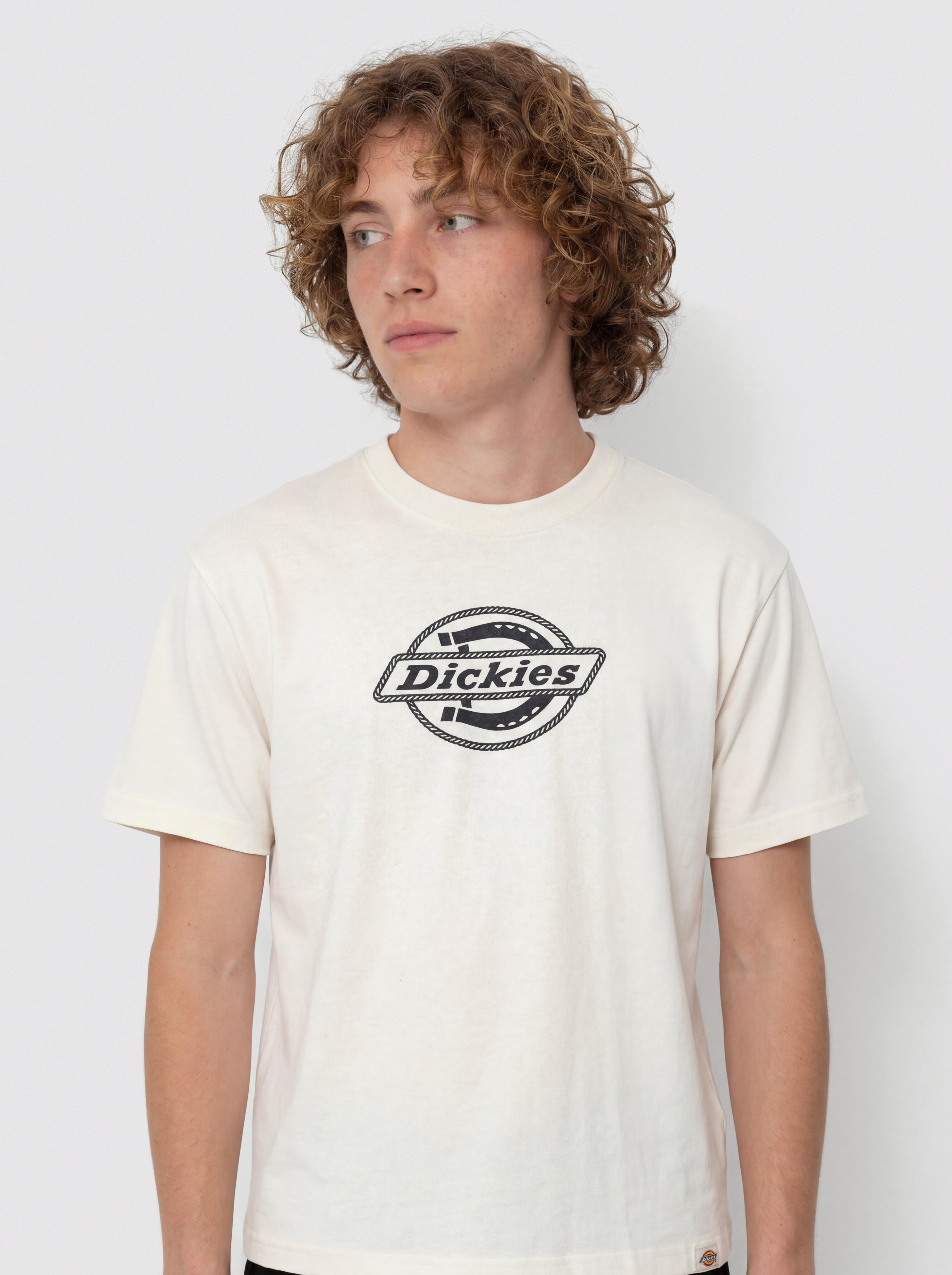 T-shirt Dickies Forth Shaw (egret)