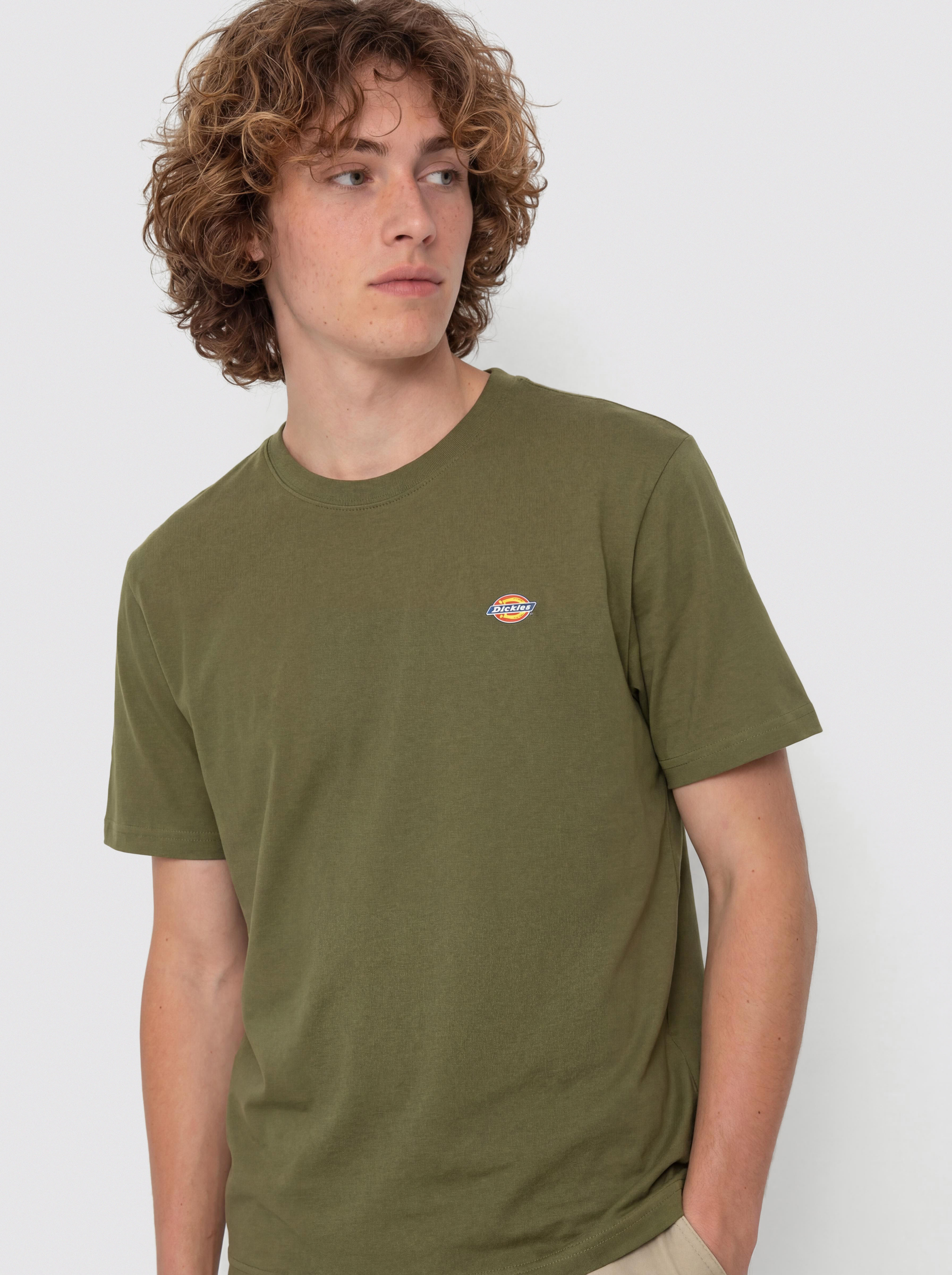 T-shirt Dickies Mapleton (cypress)