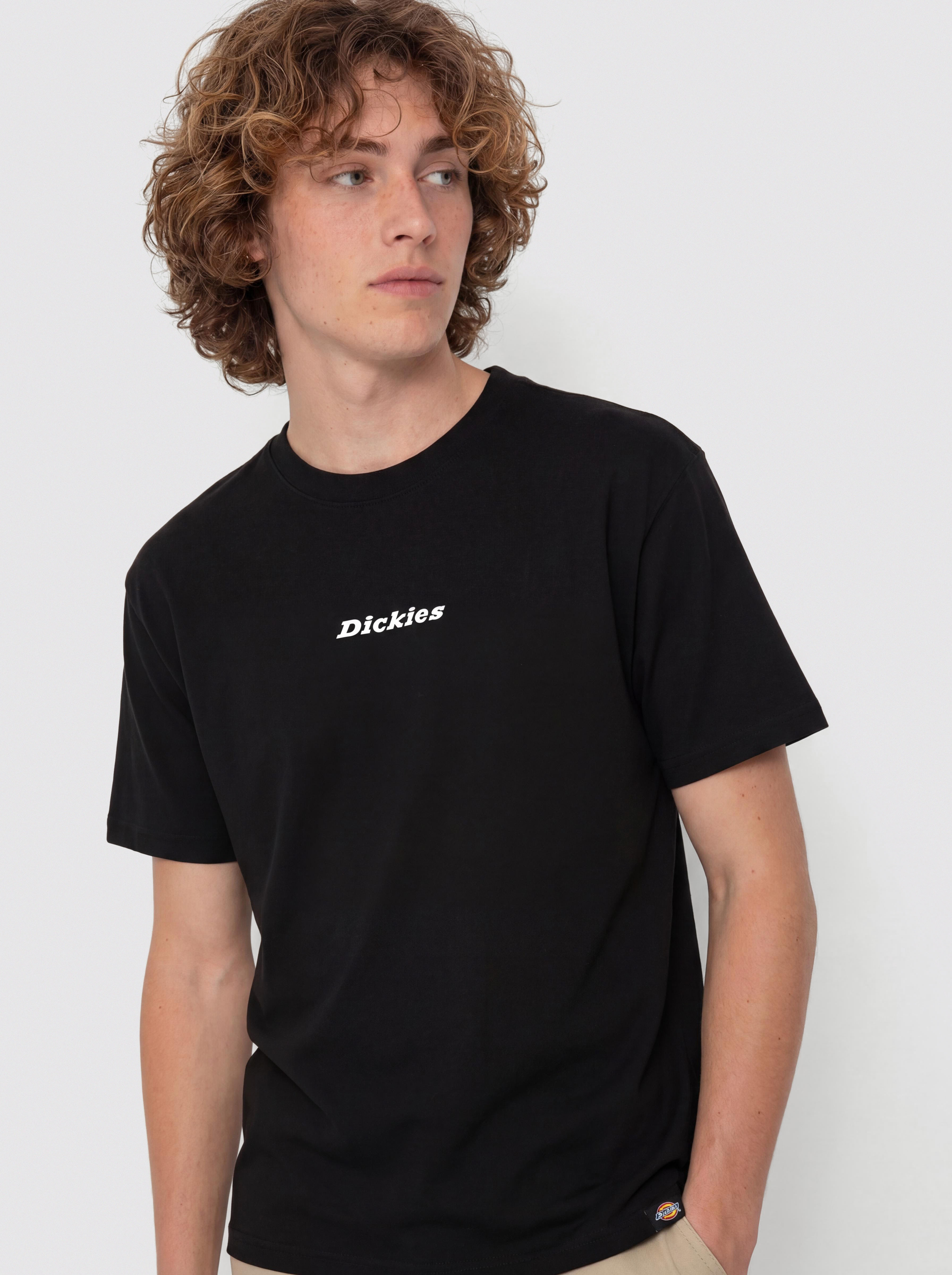 T-shirt Dickies Enterprise (black)