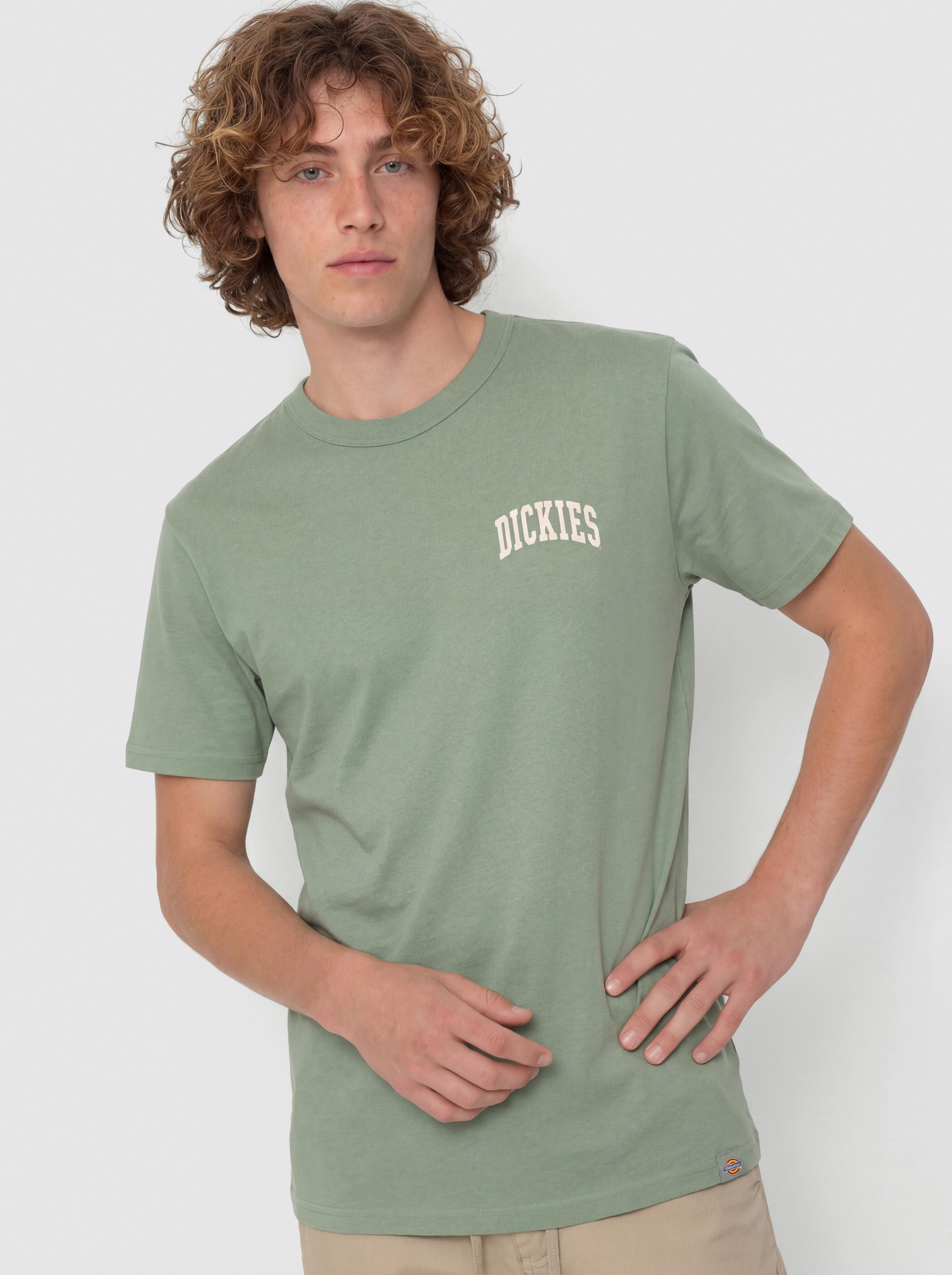 T-shirt Dickies Aitkin Chest (sea spray)