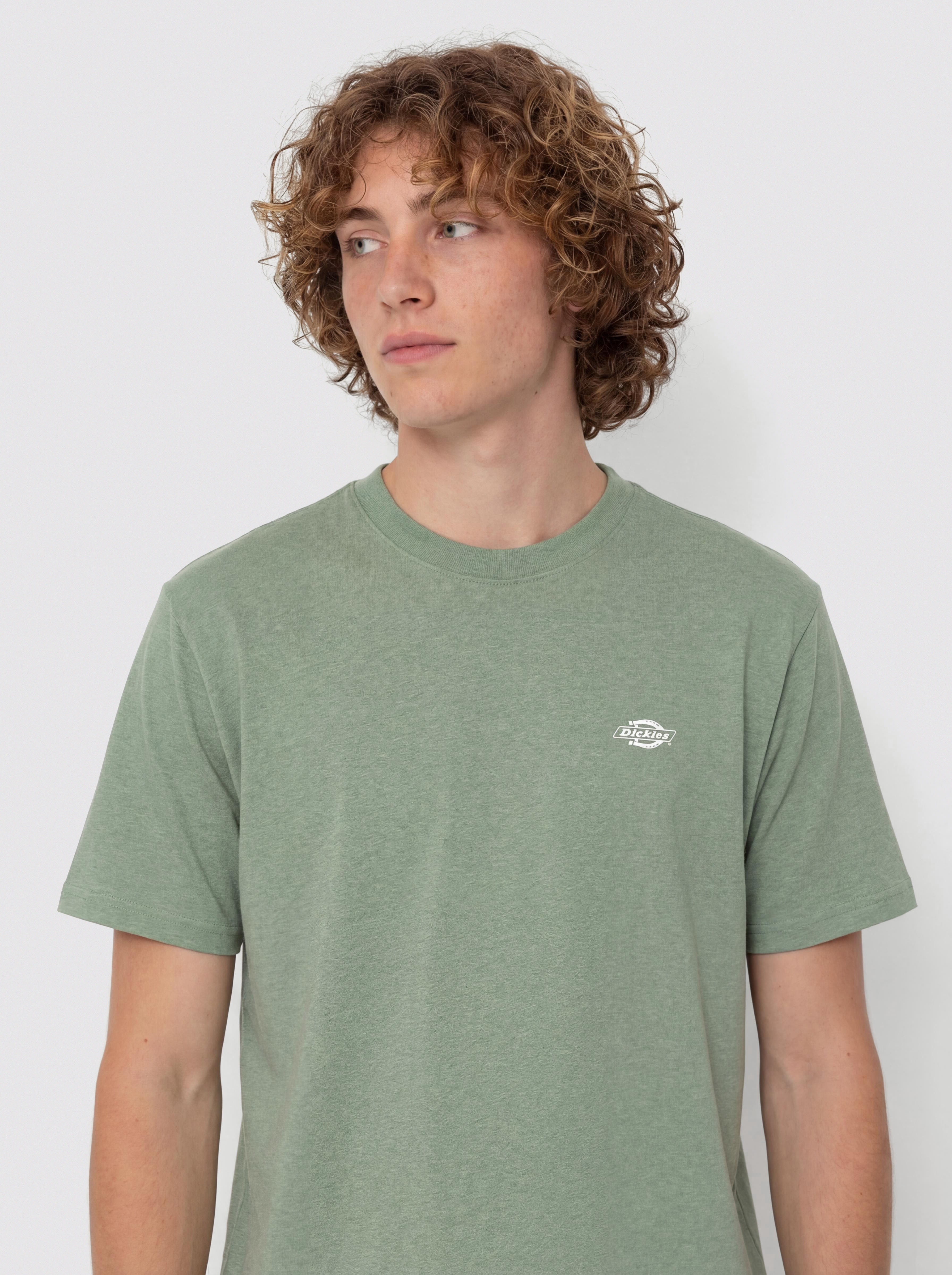 T-shirt Dickies Summerdale (sea spray)