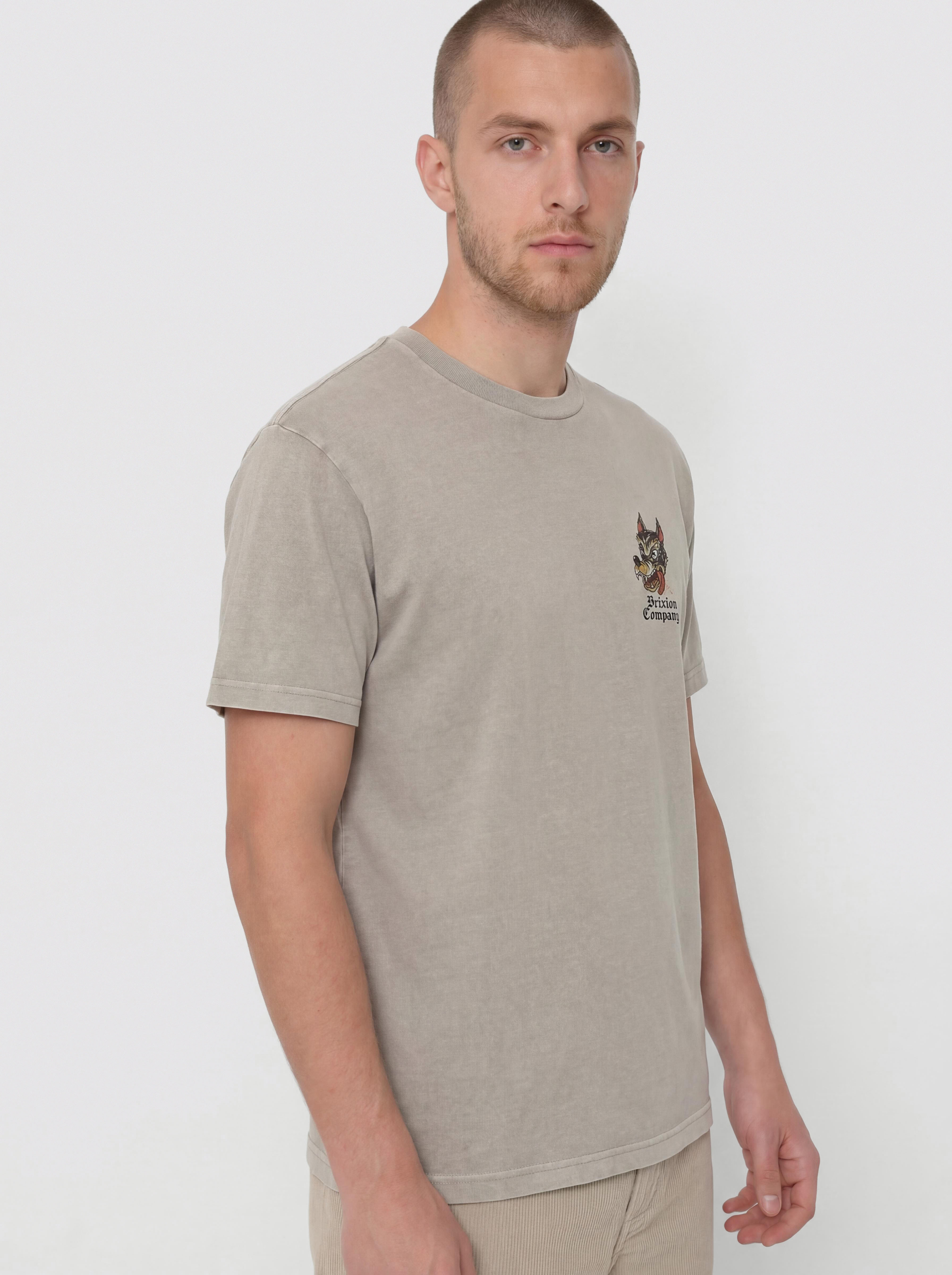 T-shirt Brixton Dawg Stt (pebble stone worn wash)