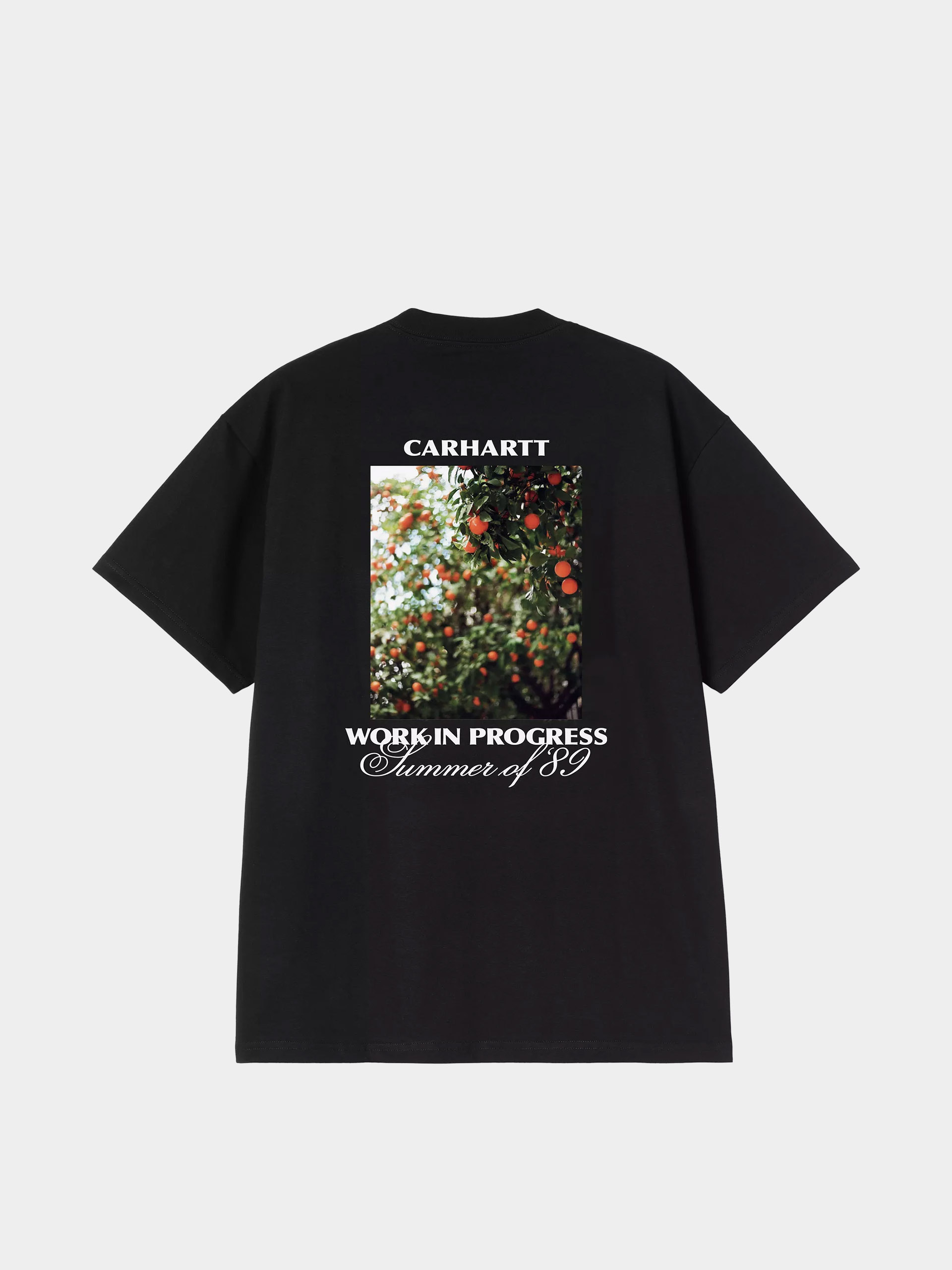 T-shirt Carhartt WIP Warm Views (black)