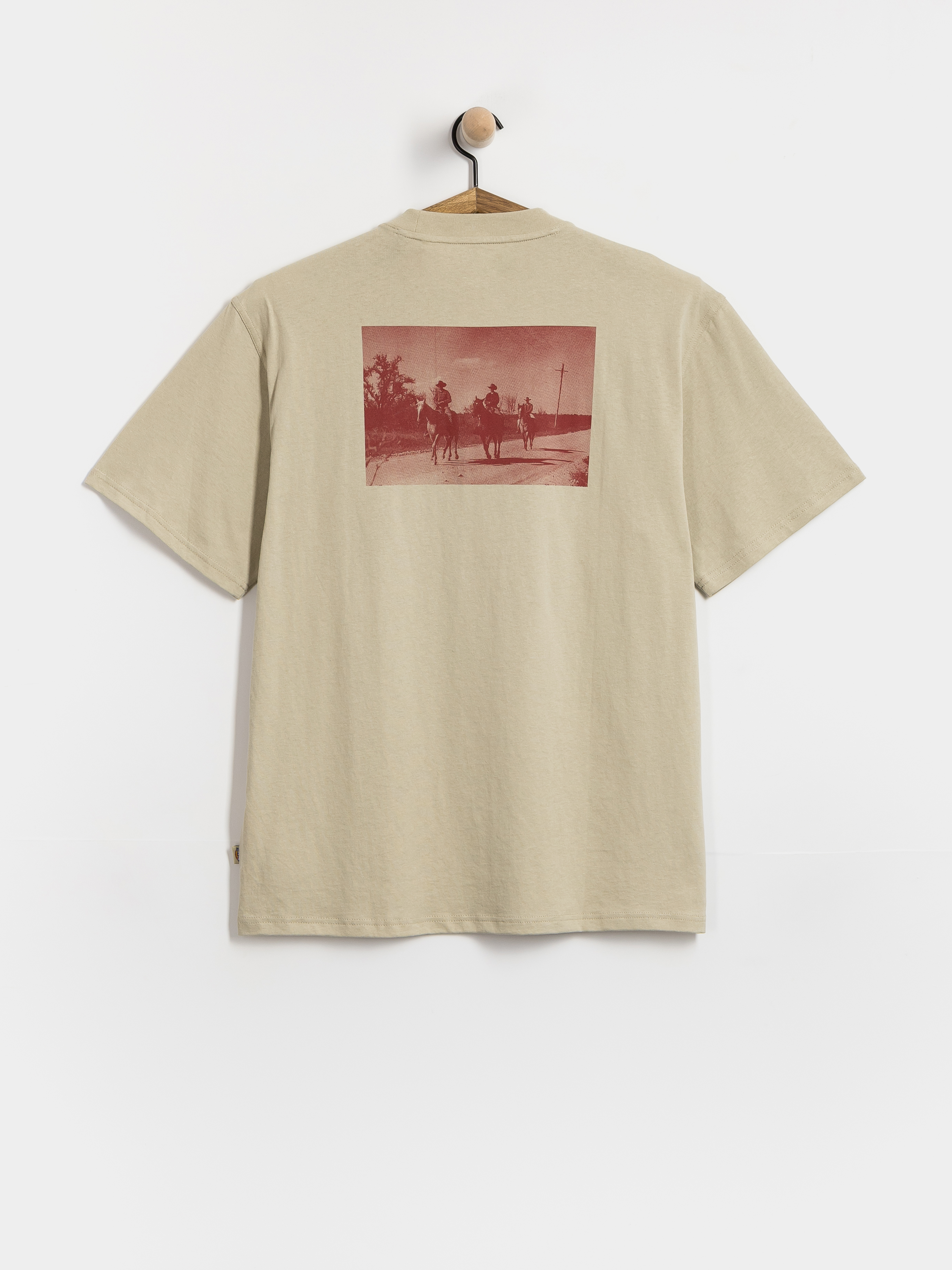T-shirt Dickies Millville (eucalyptus)