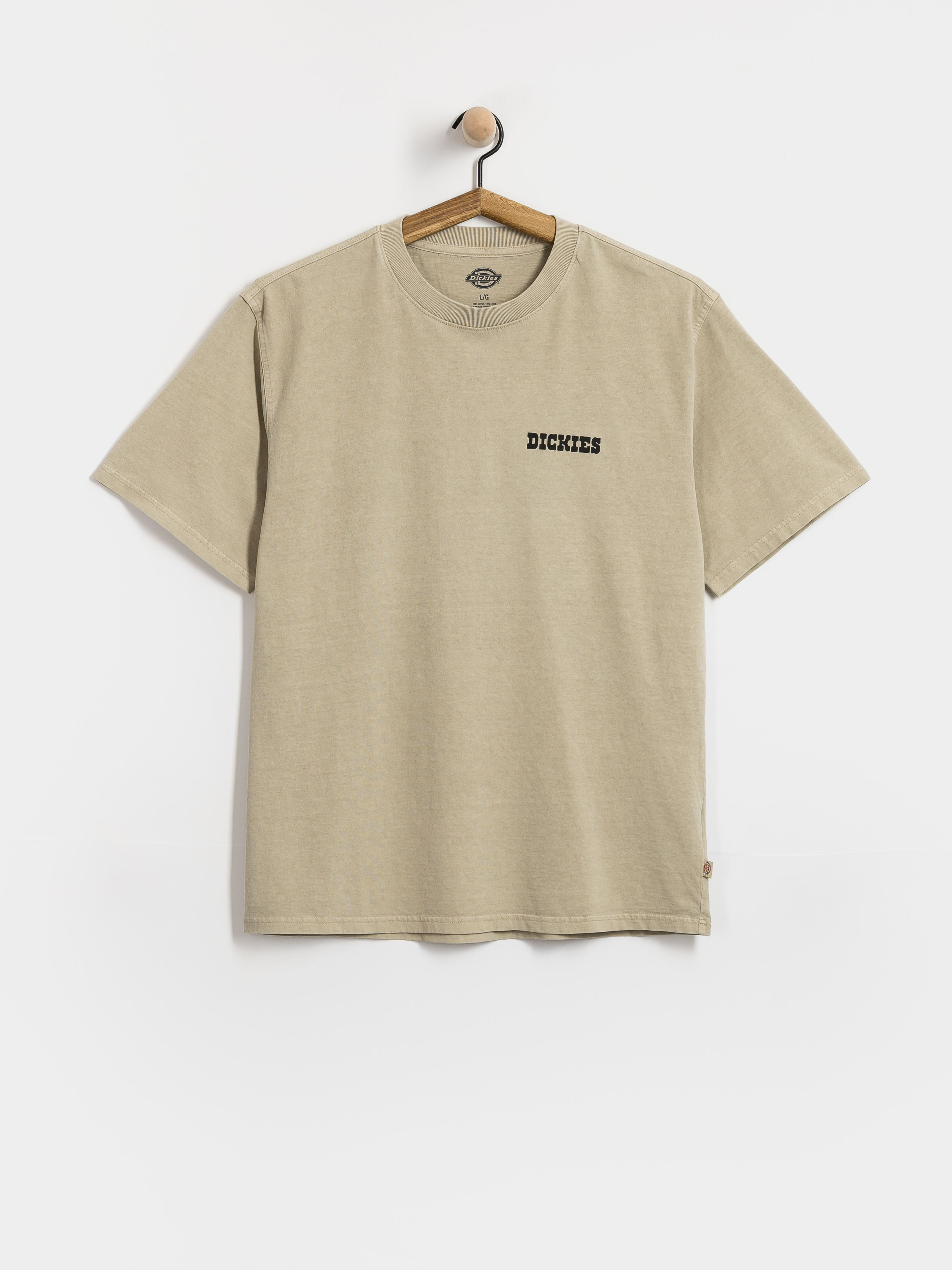 T-shirt Dickies Darrtown (eucalyptus)