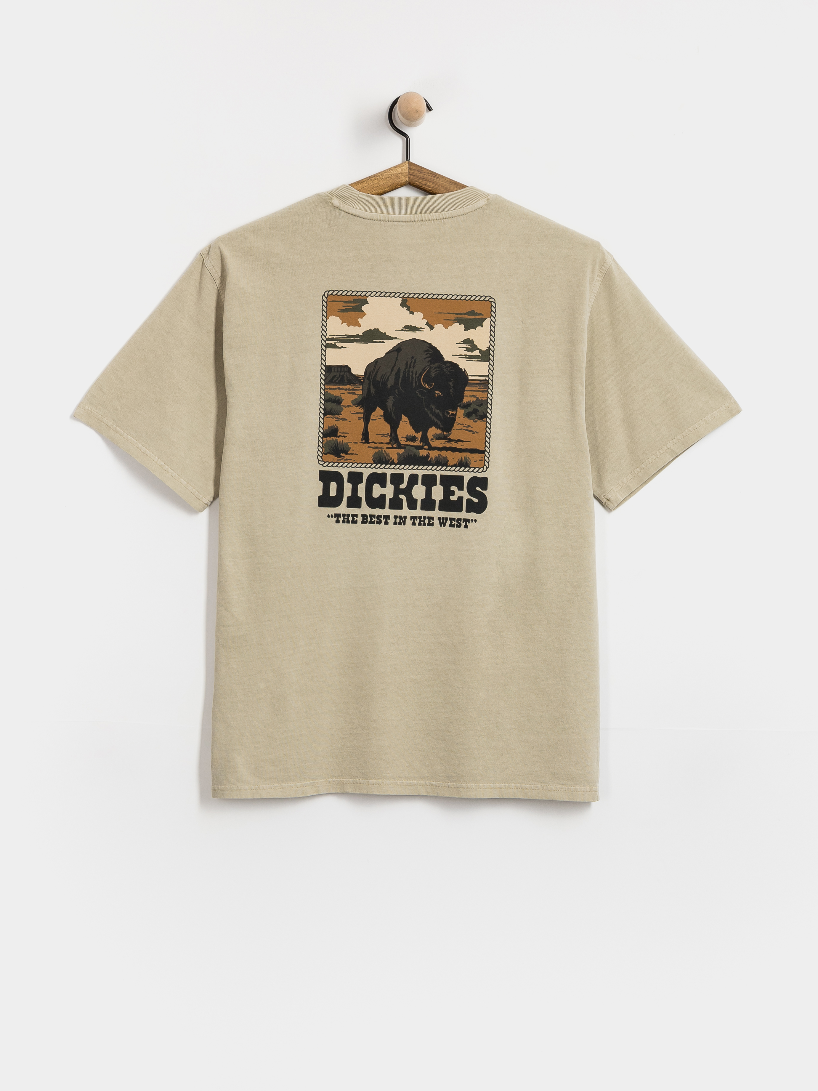 T-shirt Dickies Darrtown (eucalyptus)