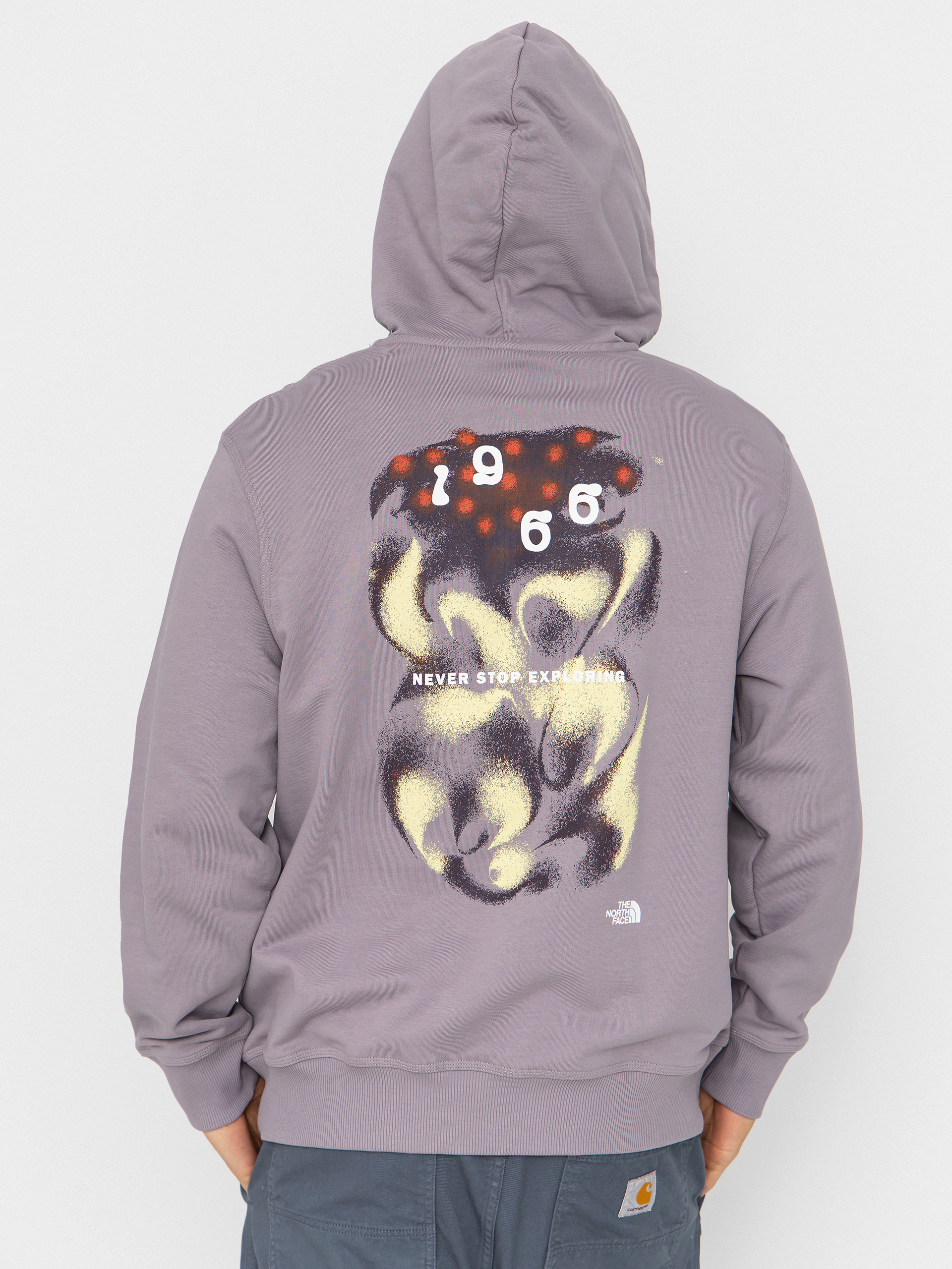 Bluza z kapturem The North Face Motion Relaxed HD (transcendent gr)