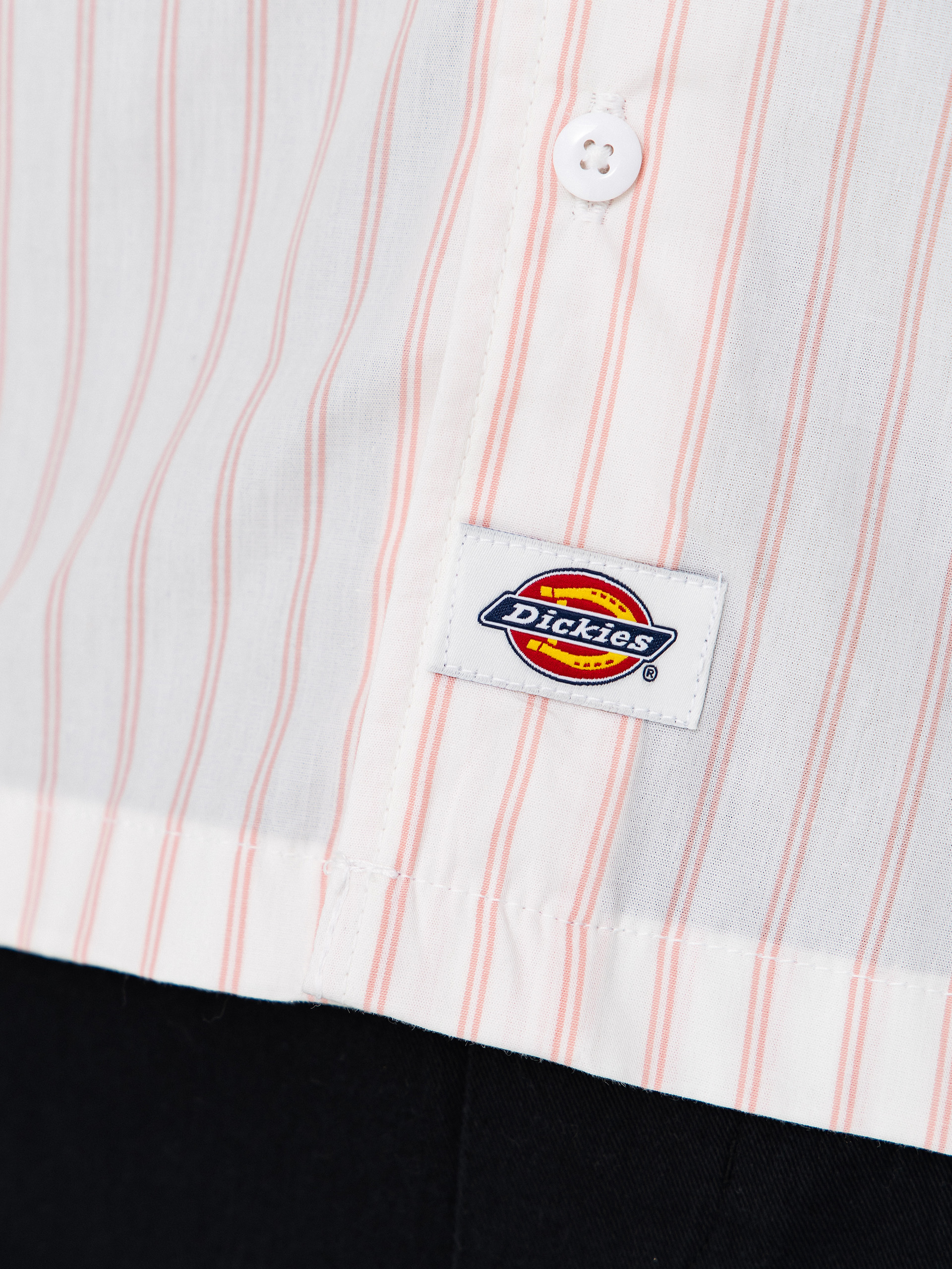 Koszula Dickies Venedocia Stripe (white)