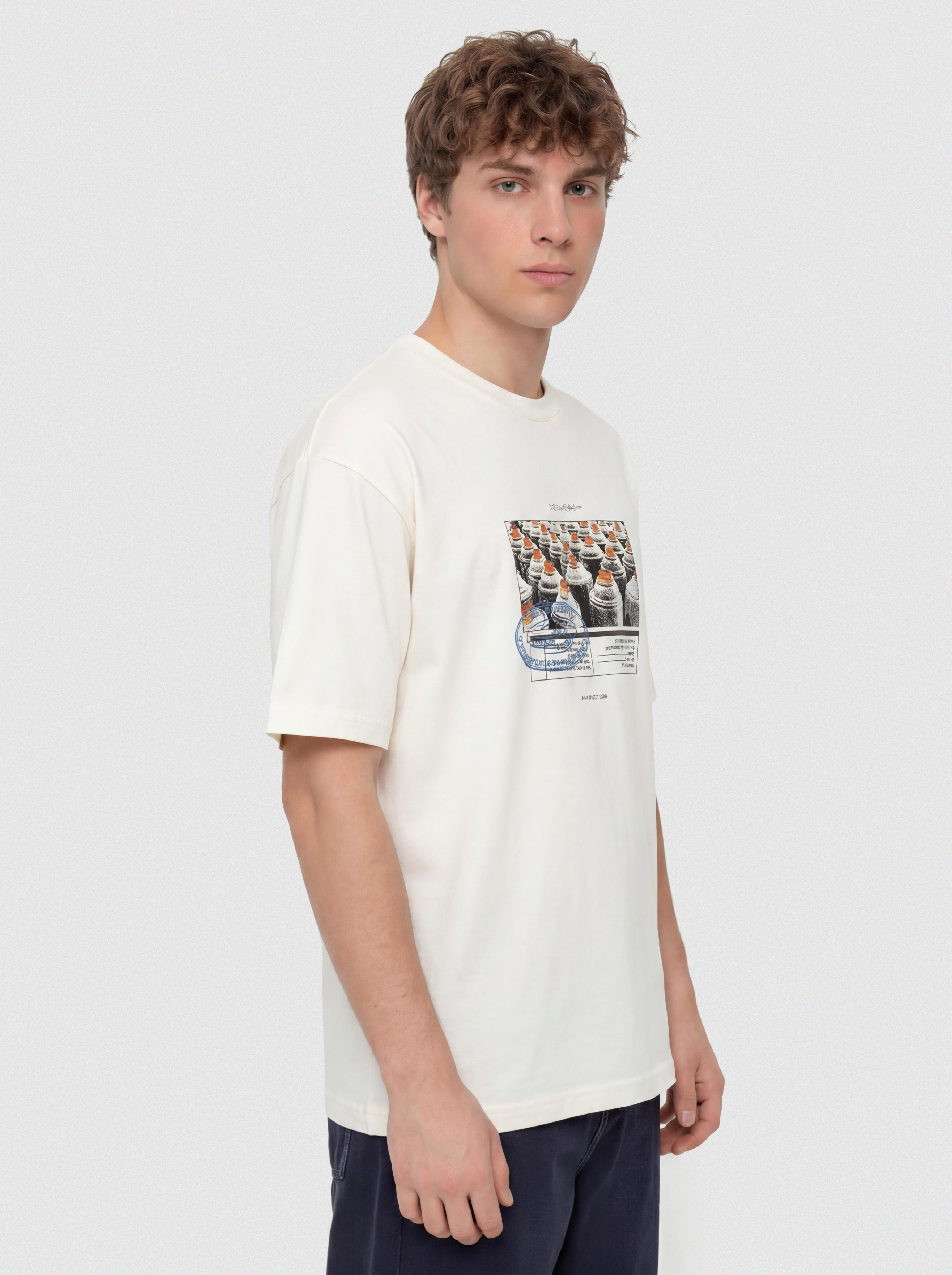 T-shirt Vans Style Tips (mountain essentials marshmallow)
