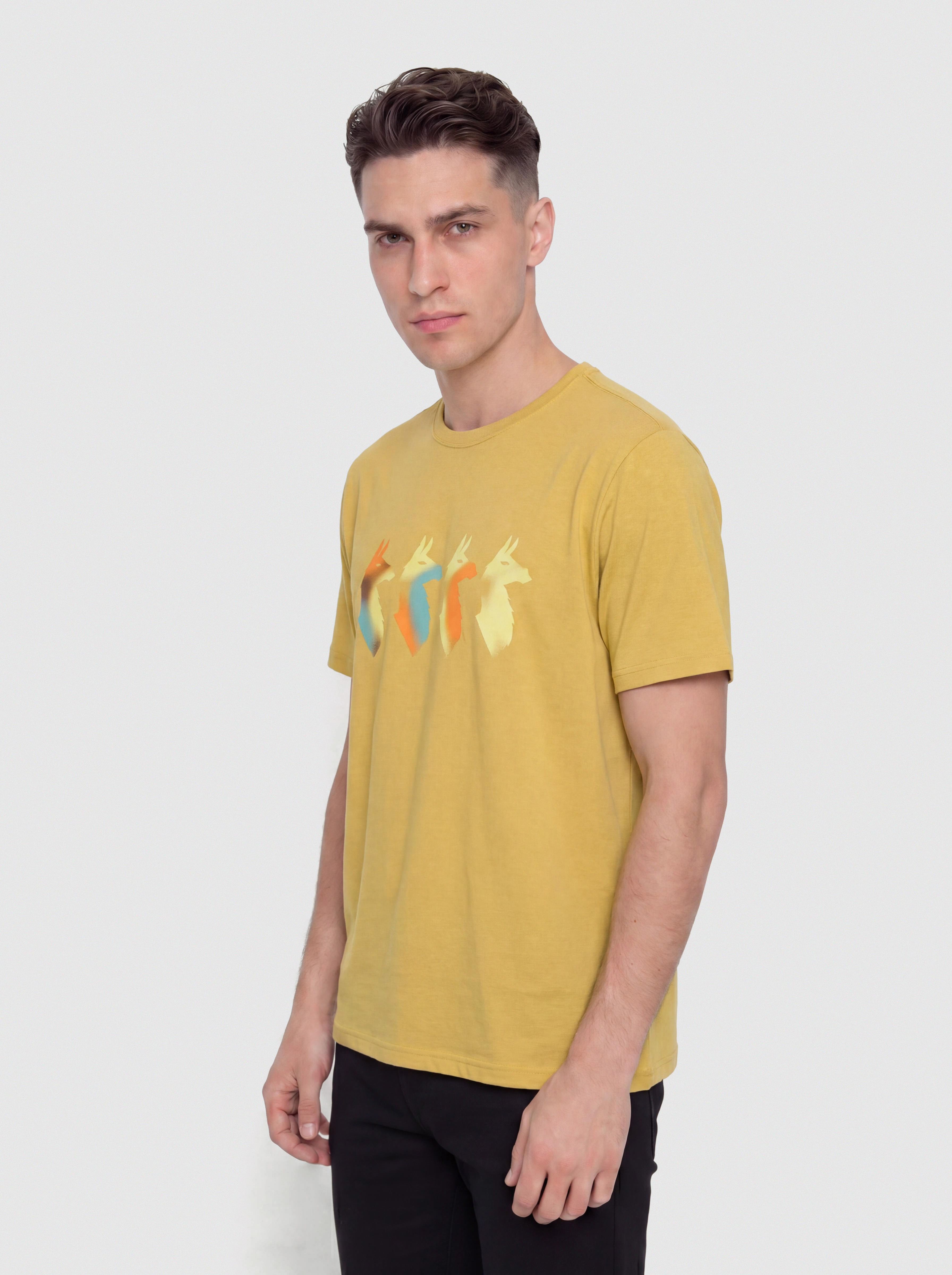 T-shirt Cotopaxi Cuatro Bitmap (husk)