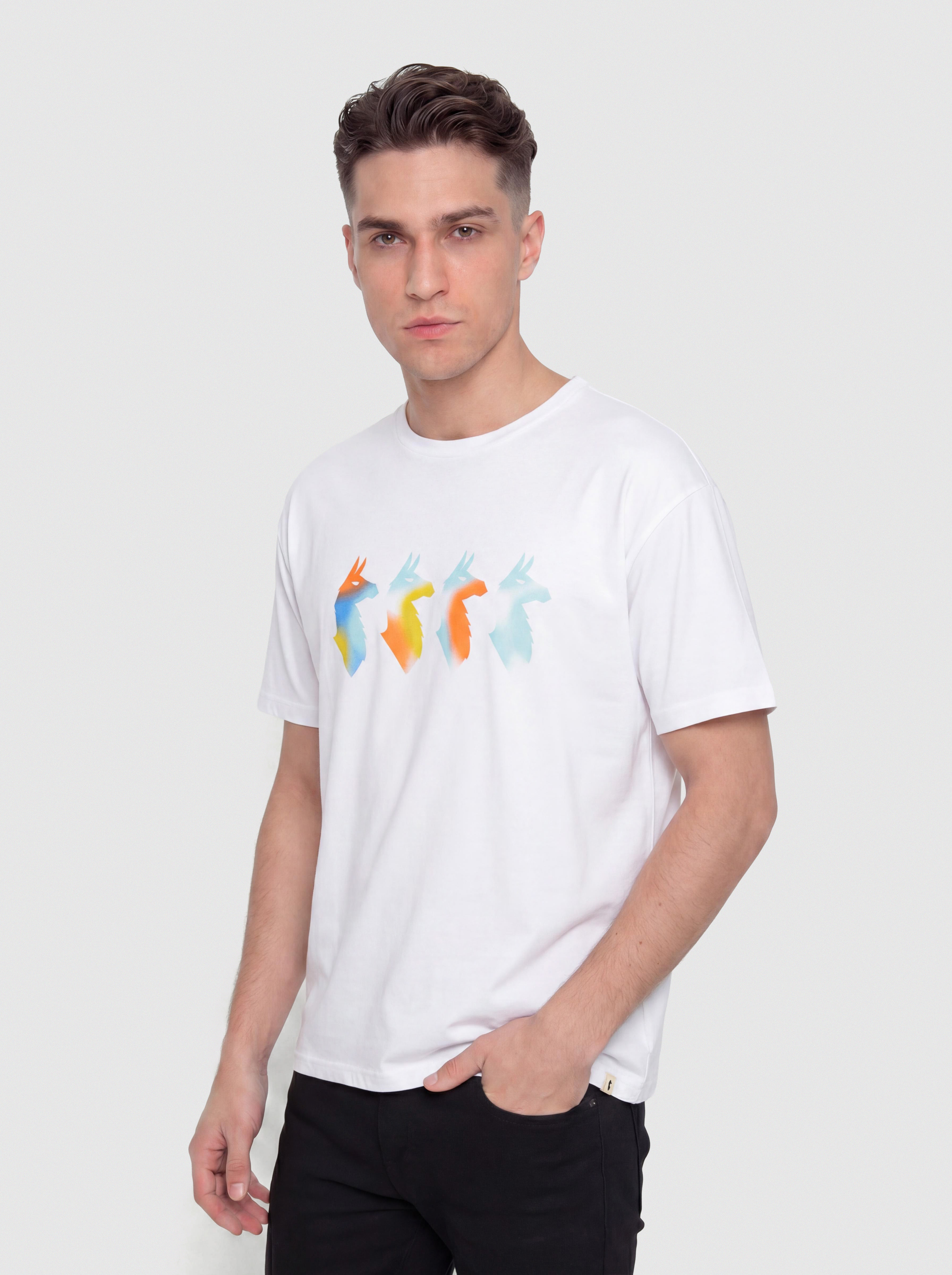 T-shirt Cotopaxi Cuatro Bitmap (white)