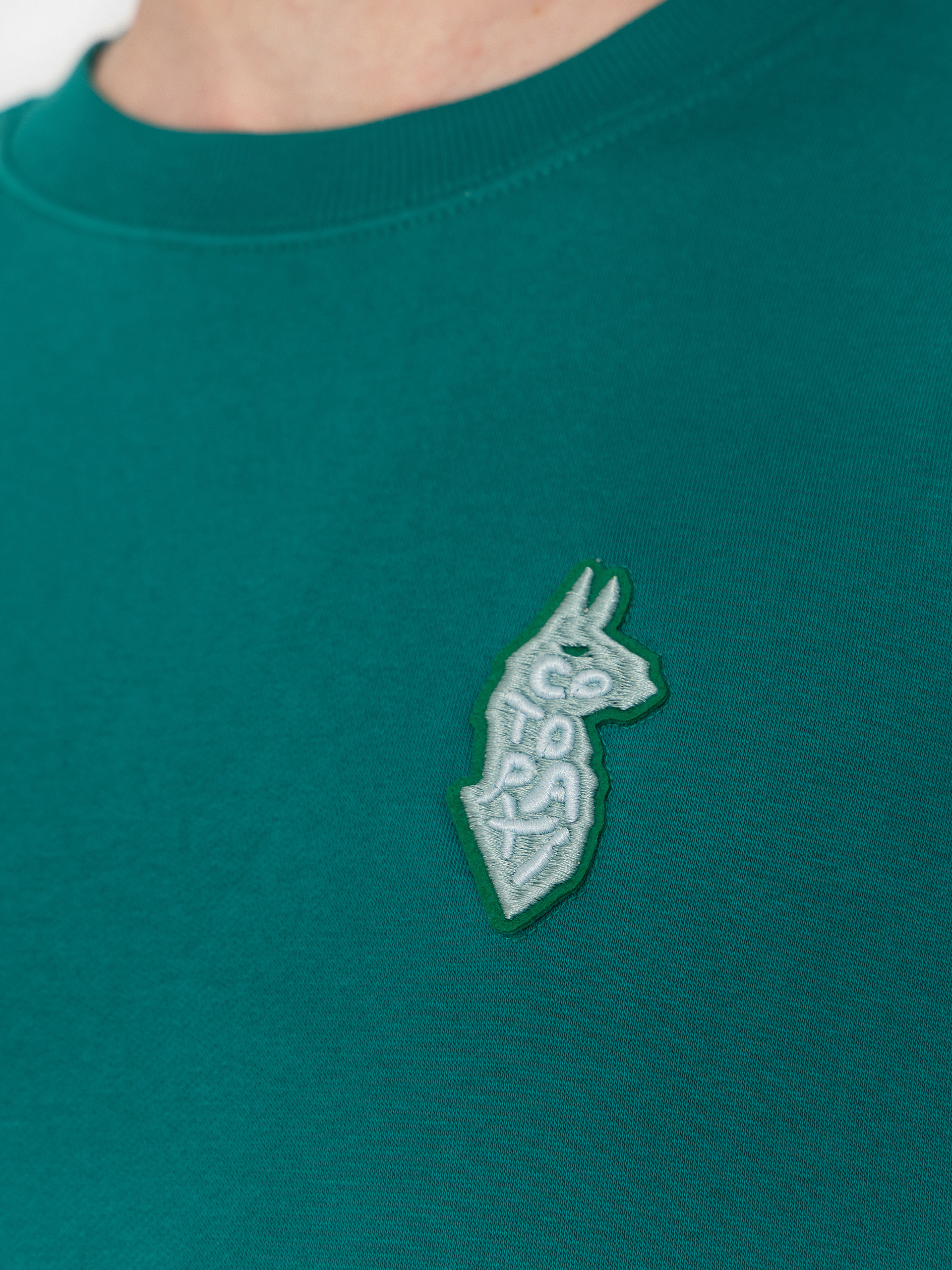 Bluza Cotopaxi Lava Llama (malachite)