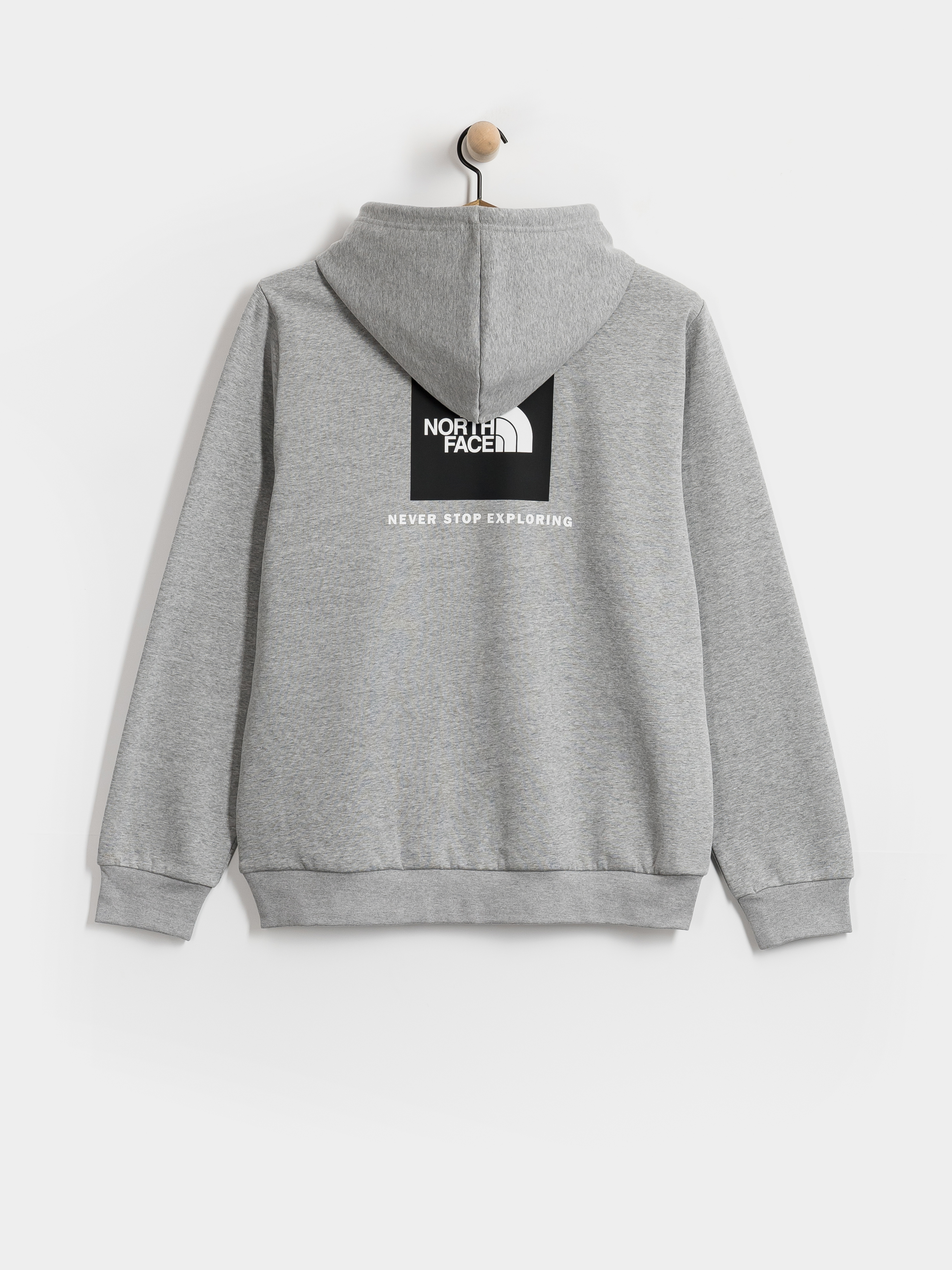 Bluza z kapturem The North Face Evolution Box Nse Regular HD (tnf pale grey heather)