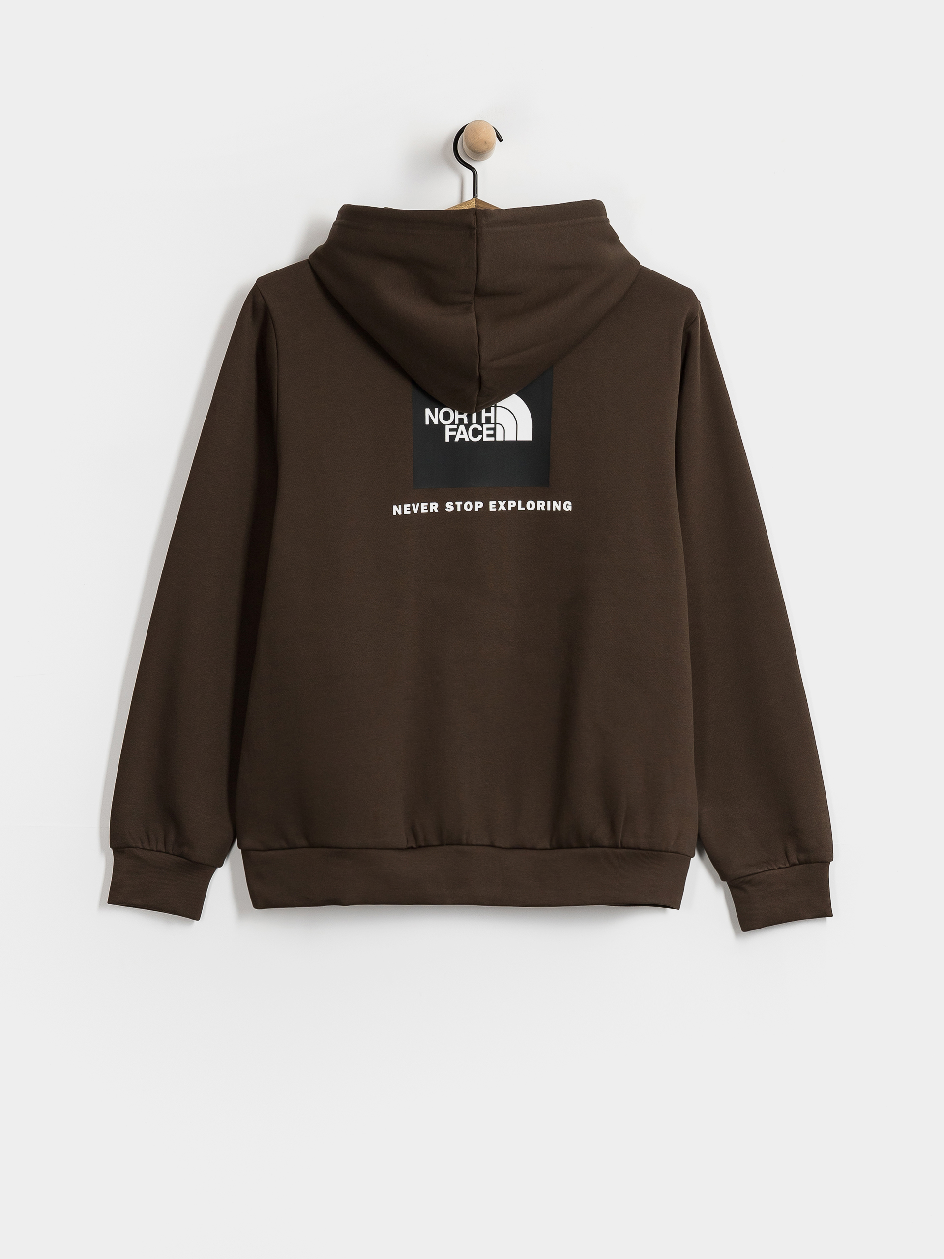 Bluza z kapturem The North Face Evolution Box Nse Regular HD (dark chestnut)