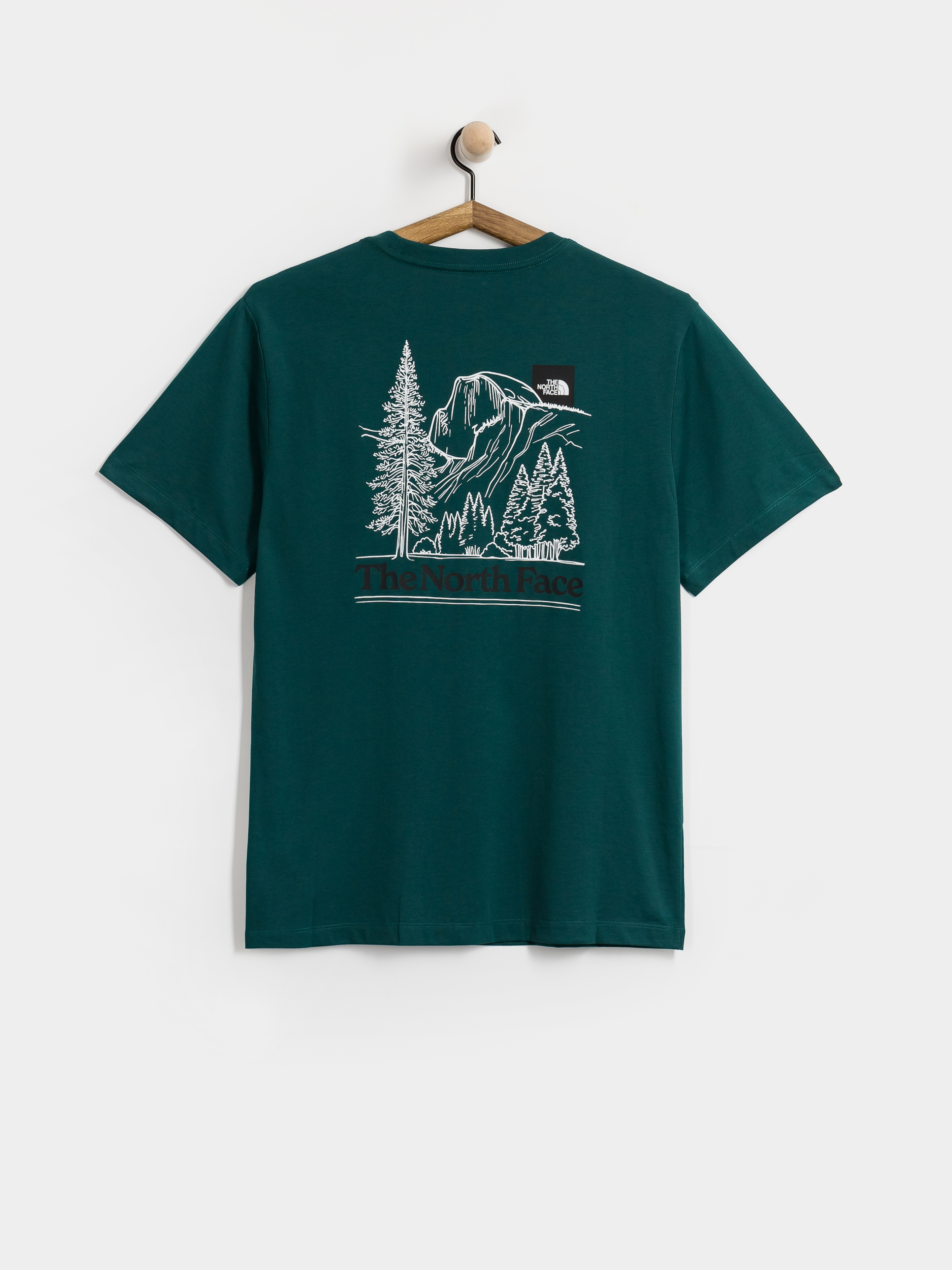 T-shirt The North Face Monte Regular (pacific teal)