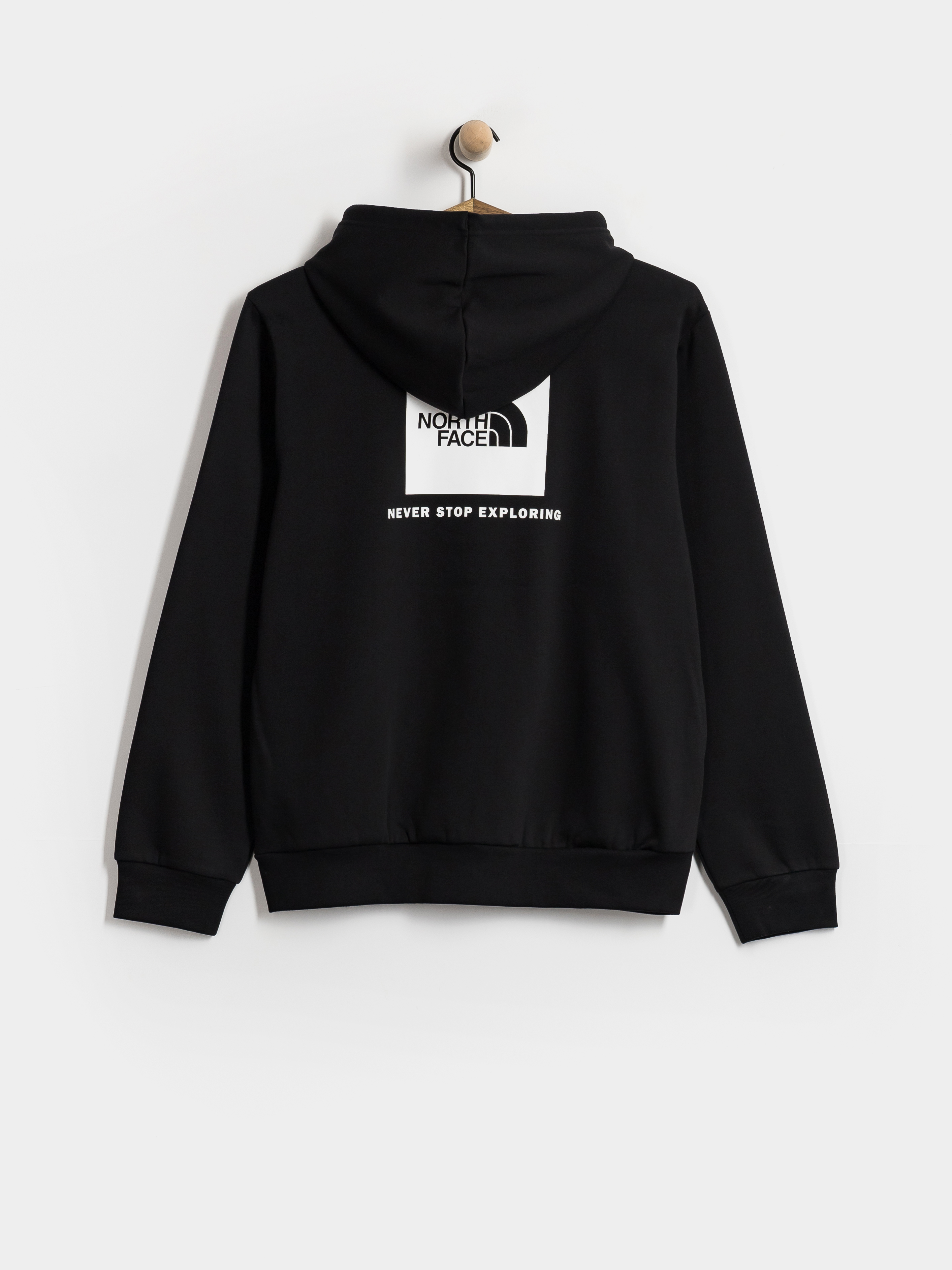 Bluza z kapturem The North Face Evolution Box Nse Regular HD