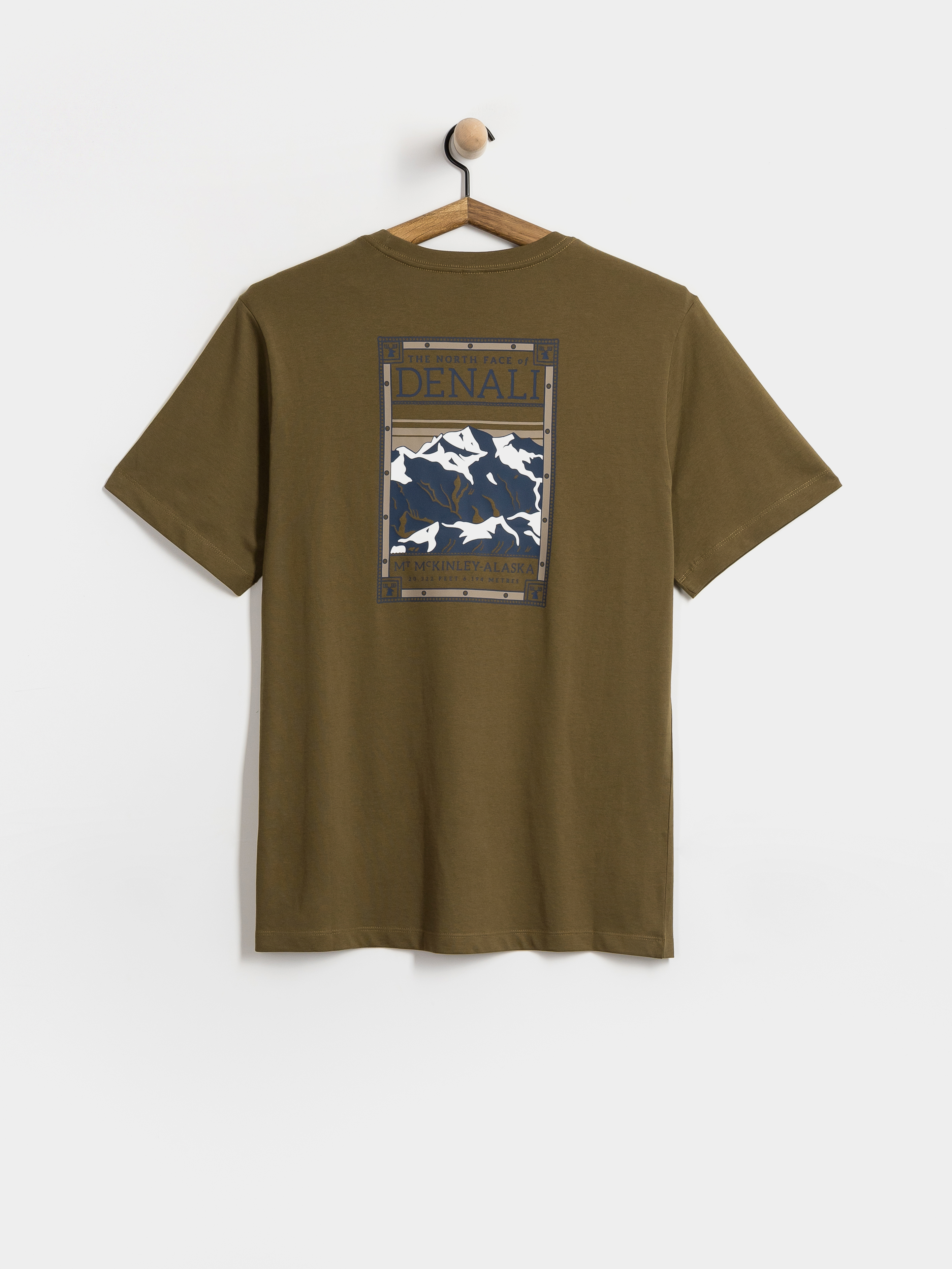 T-shirt The North Face North Faces (caraway seed)