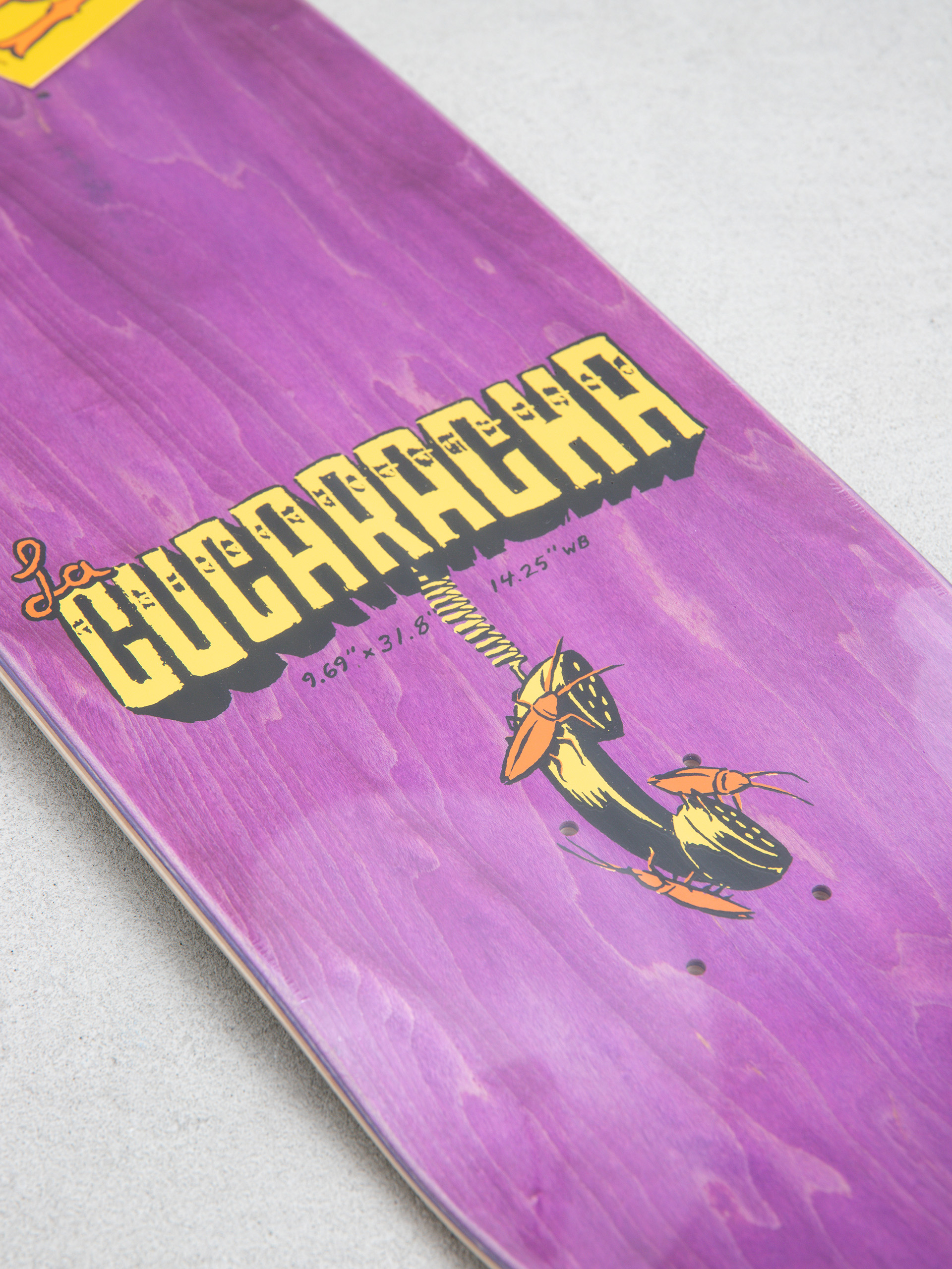 Deck Antihero Team Jalopi Cucaracha (brown)