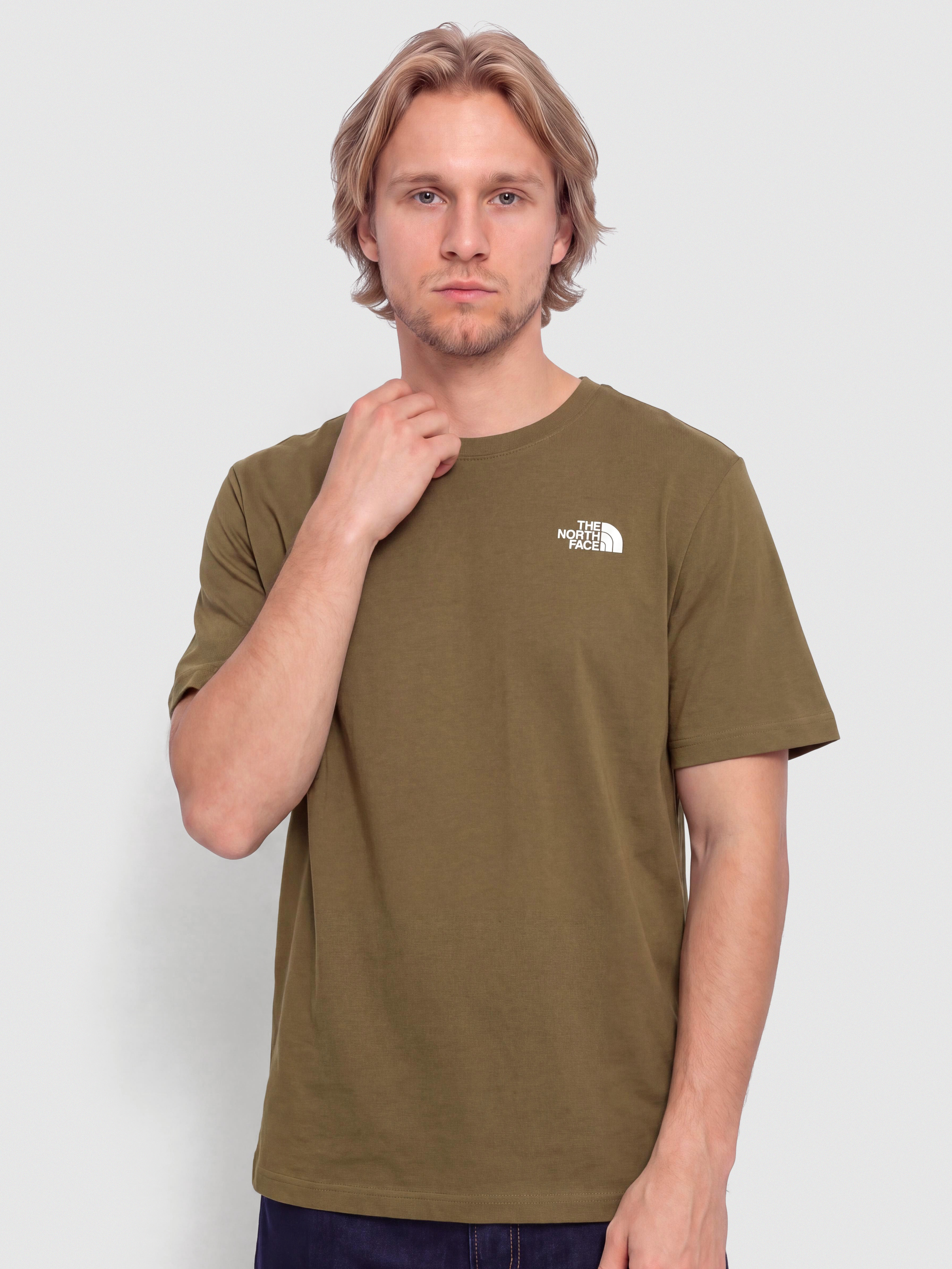T-shirt The North Face Evolution Box Nse (caraway seed)