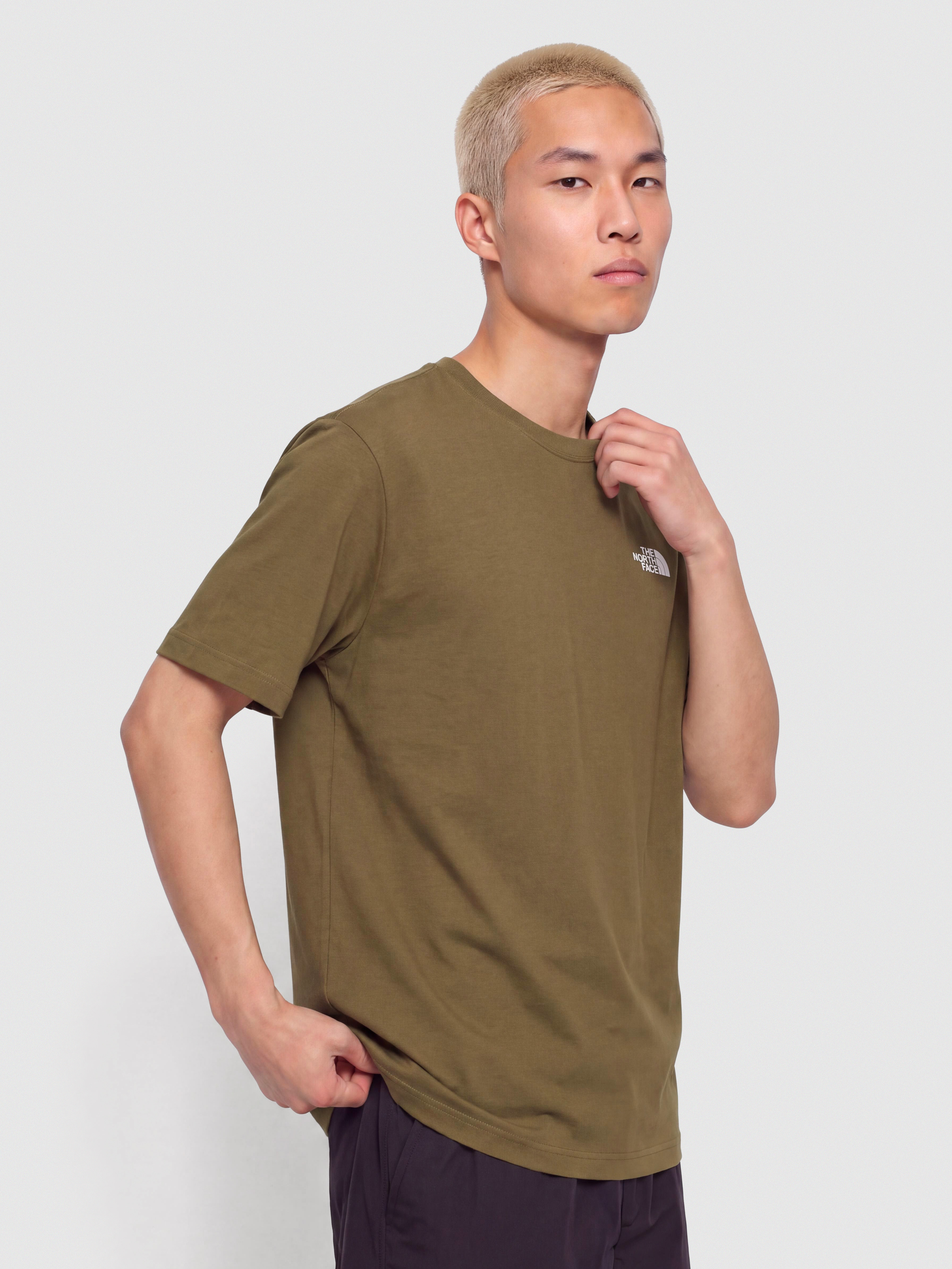 T-shirt The North Face Evolution Simple Dome (caraway seed)